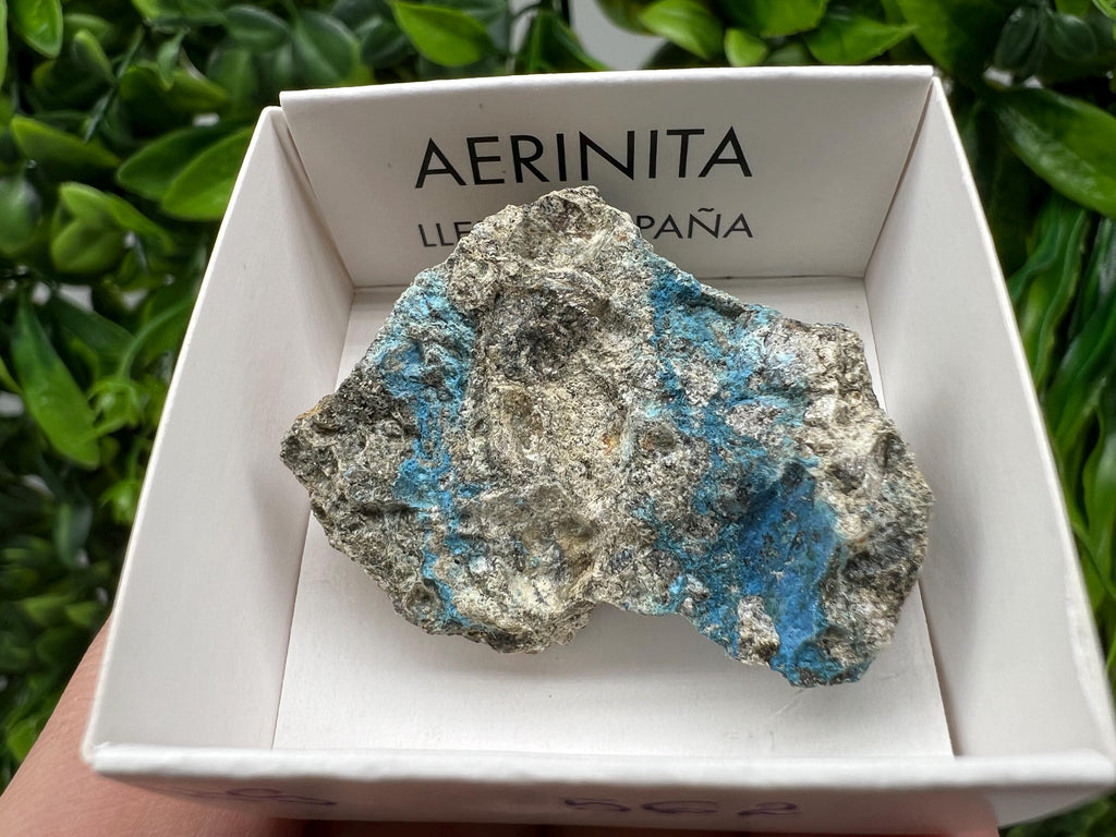 Rare Raw Aerinite Mineral Specimen: Collection Crystal from Lleida, Spain (3.5/3 CM)