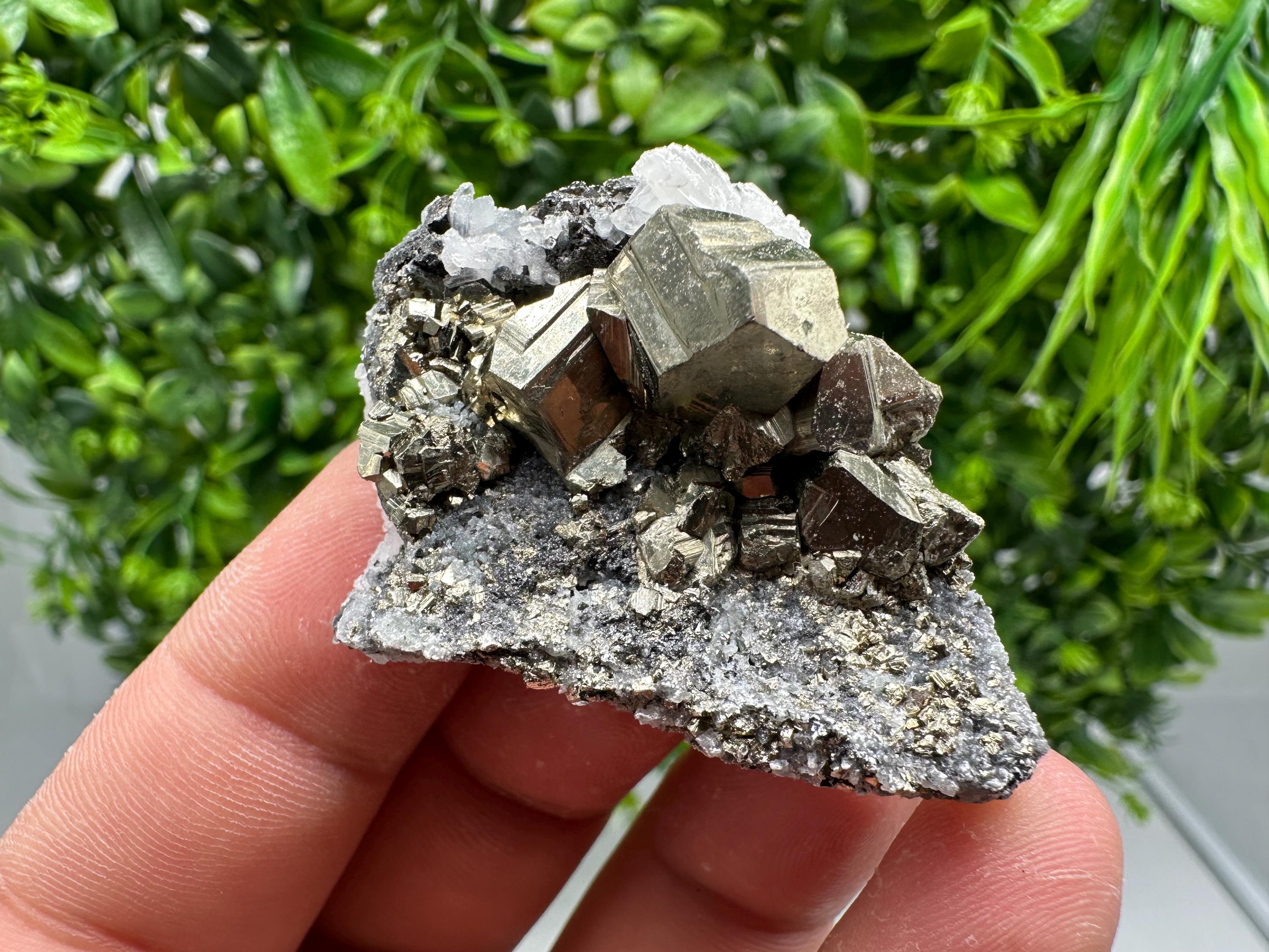 Golden Pyrite,Sphalerite from 9th September mine,Madan,Bulgaria,natural,collectible mineral specimen,home decor crystal,Pyrite cluster,