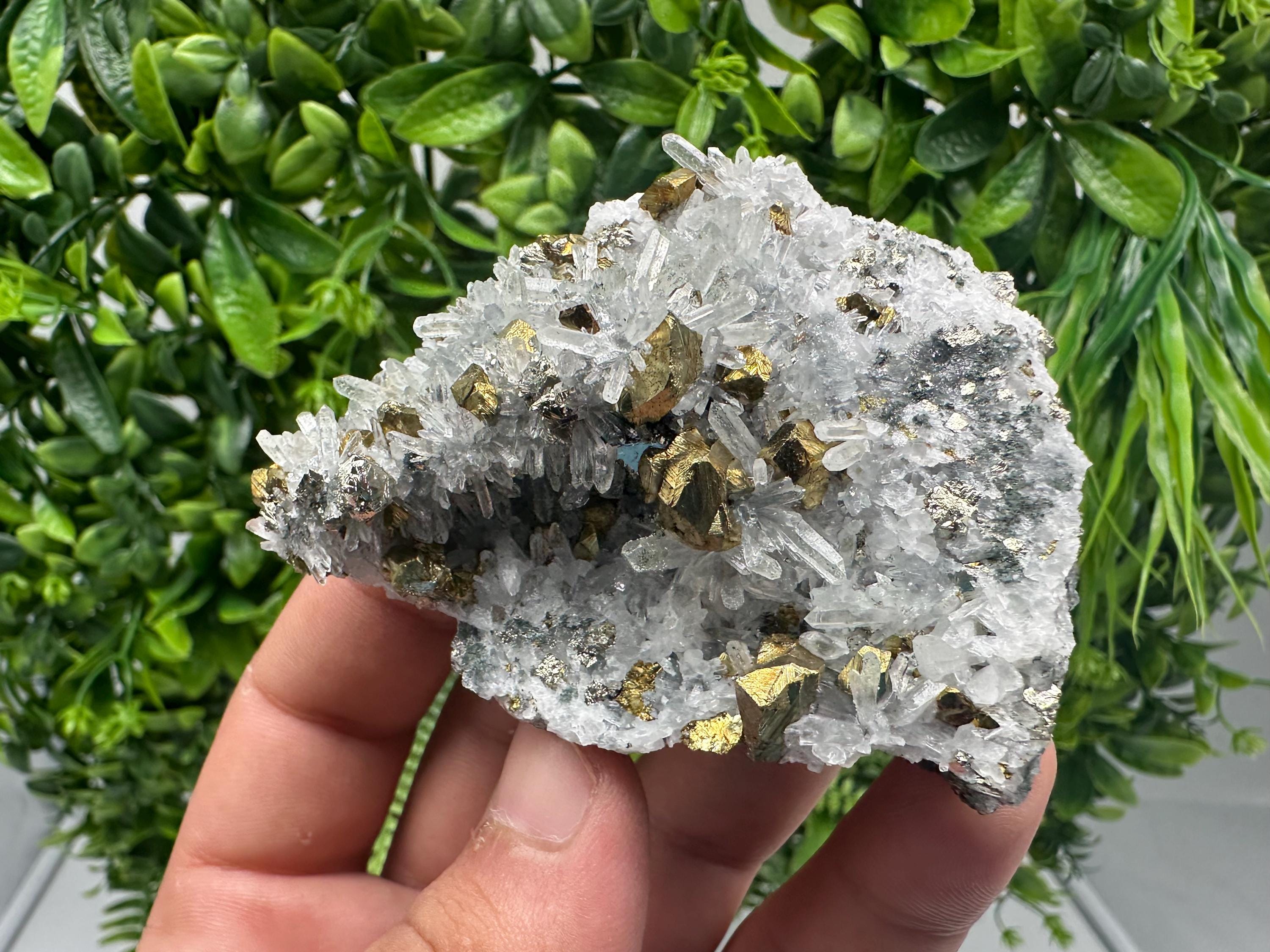 Chalcopyrite on Quartz, Chlorite Mineral Specimen, Bulgaria