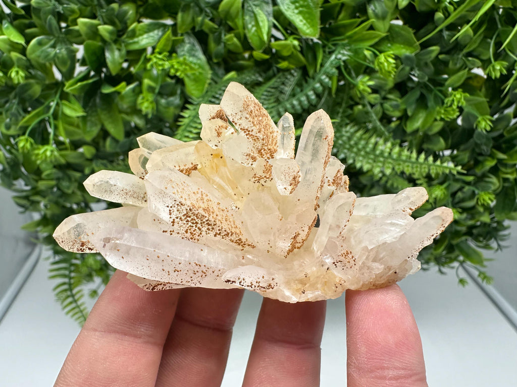 Transparent Quartz whit Siderite 9th September mine Bulgaria natural minerals souvenir crystal stone gift minerals collection rock