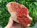 Red Vanadinite on Matrix from Marocco,crystal minerals Speciment cluster Vanadinite crystal Vanadinite Geology Vanadinite cluster minerals