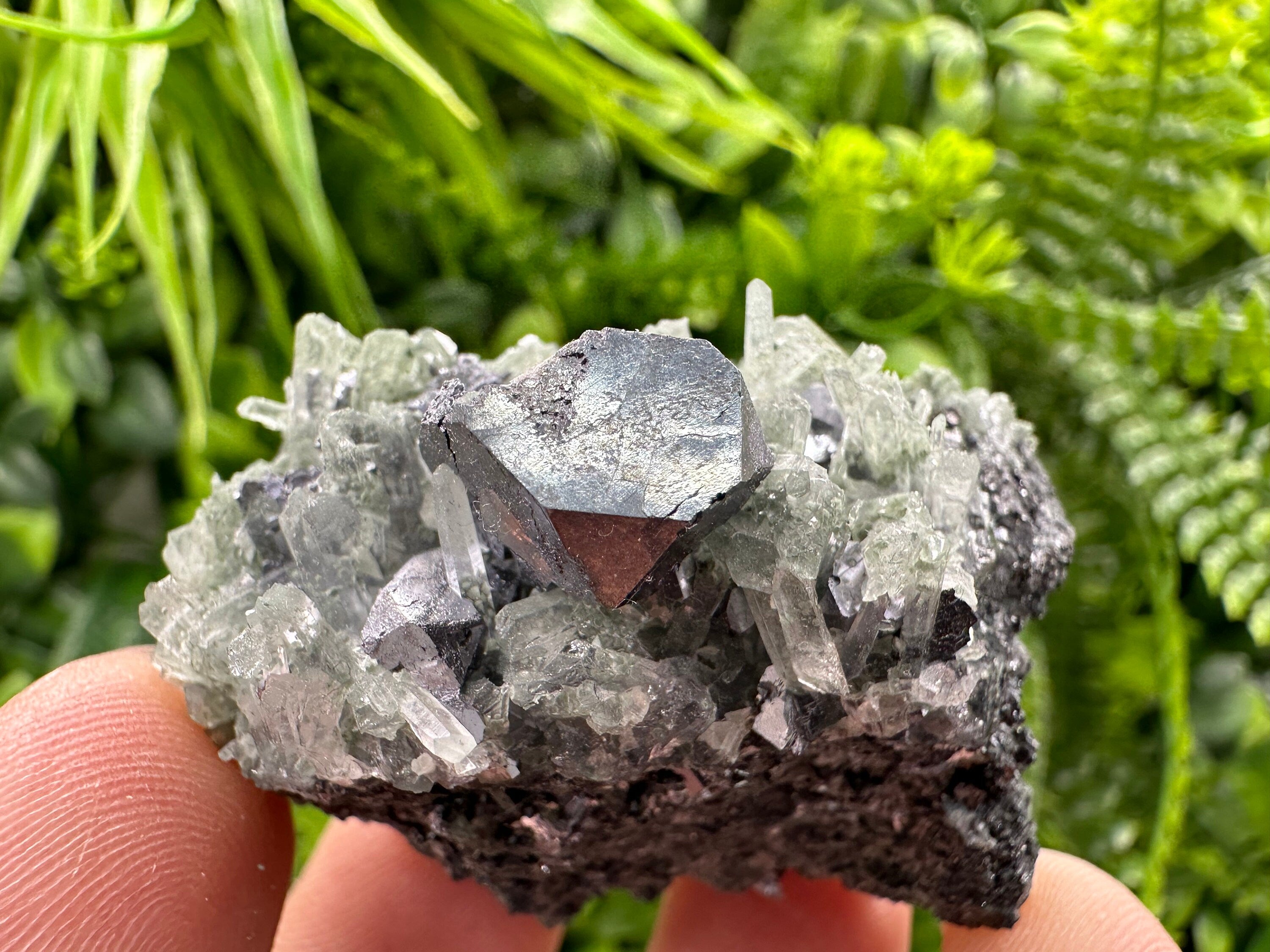 Galena on Green Quartz, Borieva Mine Mineral Specimen