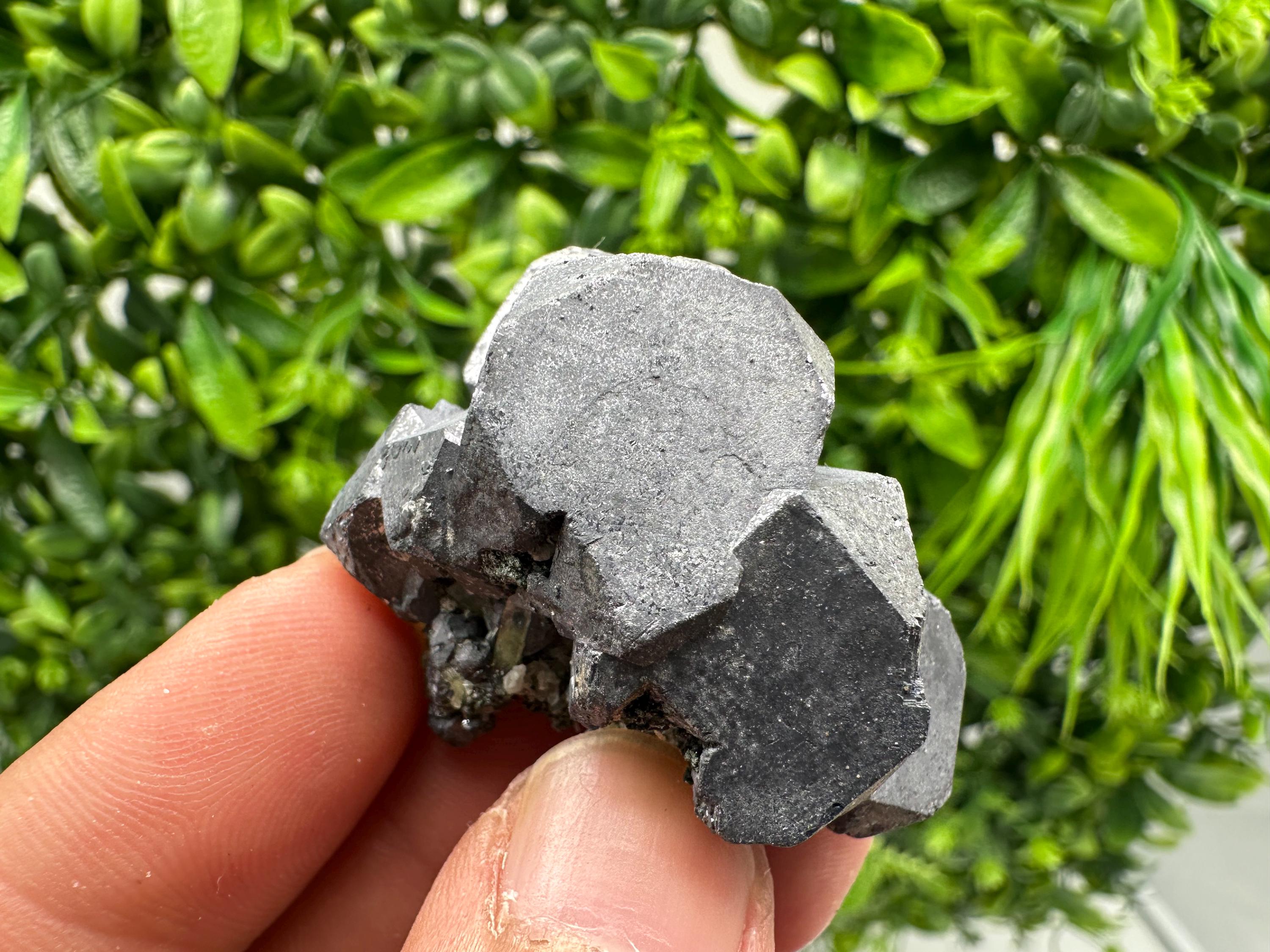 Shiny Galena Cluster, Borieva Mine, Madan, Bulgaria