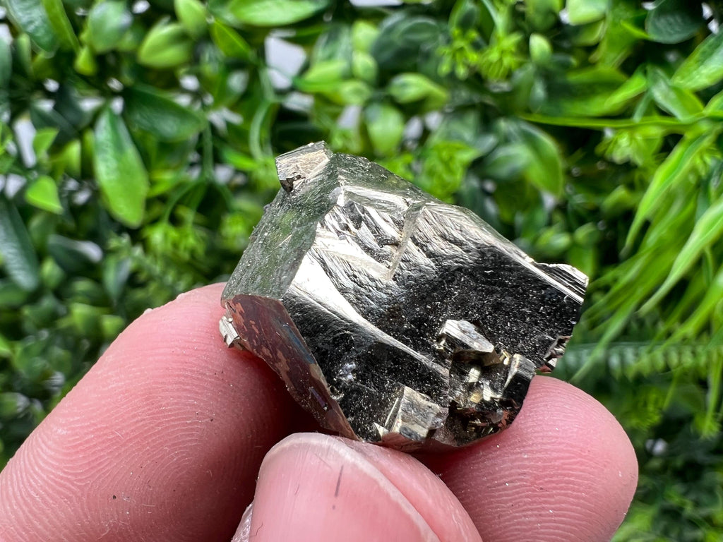 Rare Crystallization Pyrite Cluster, Borieva Mine, Bulgaria