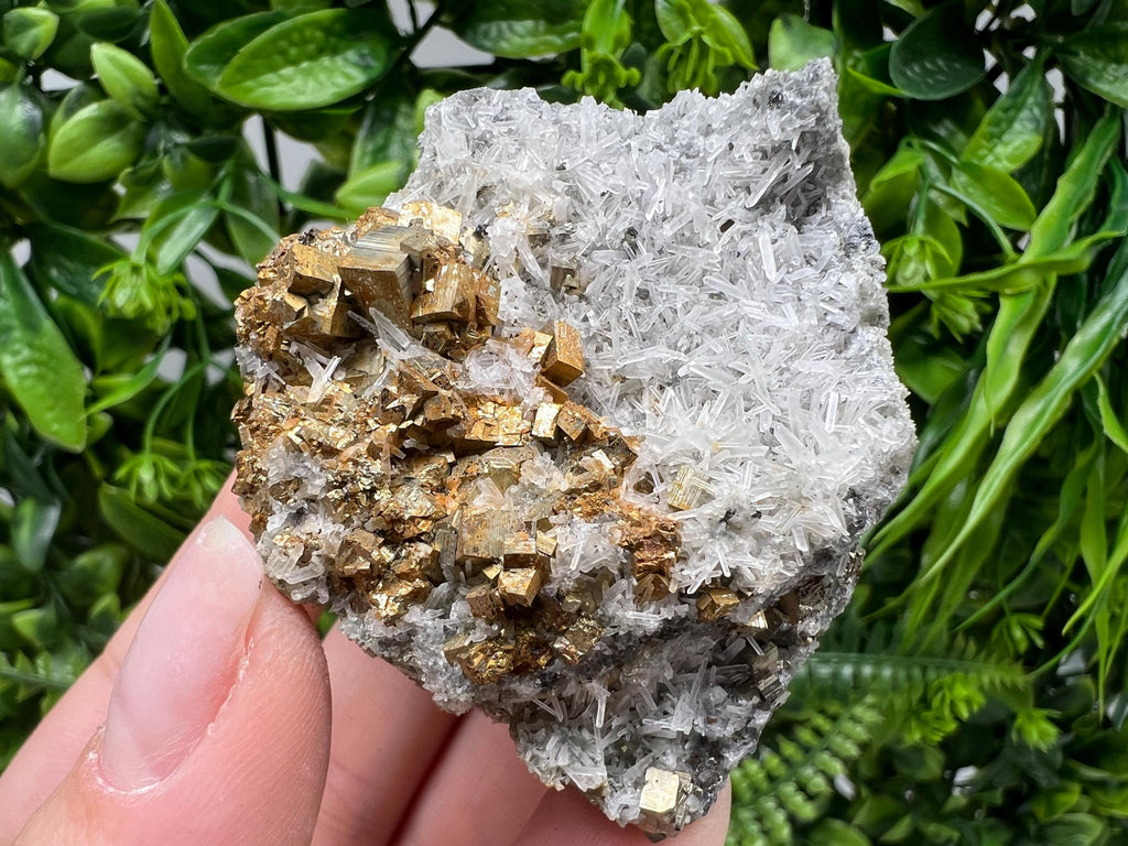 Pyrite on Green Quartz Mineral Specimen, Borieva Bulgaria