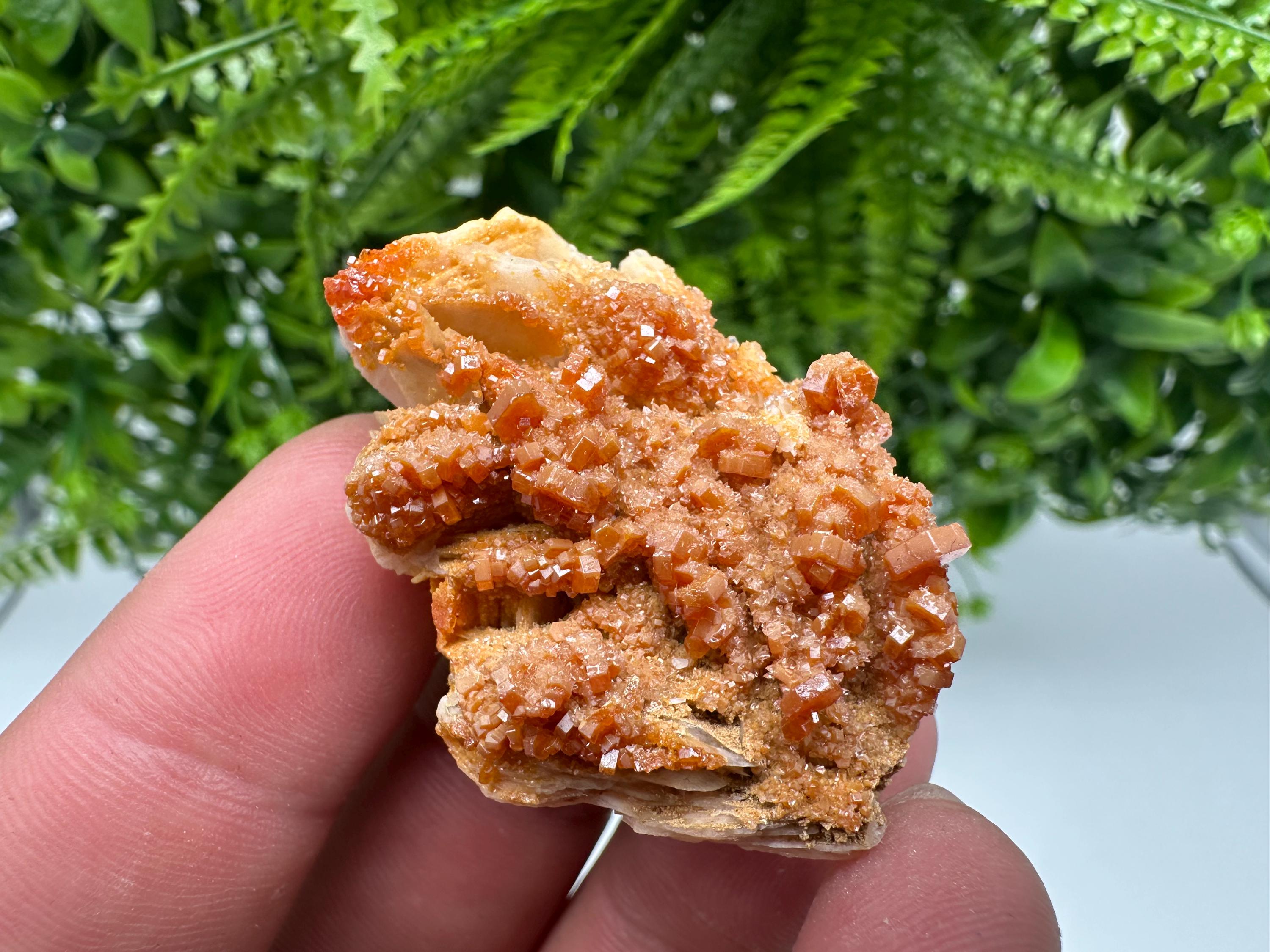 Red Vanadinite on Barite Specimen, Morocco Crystal Cluster