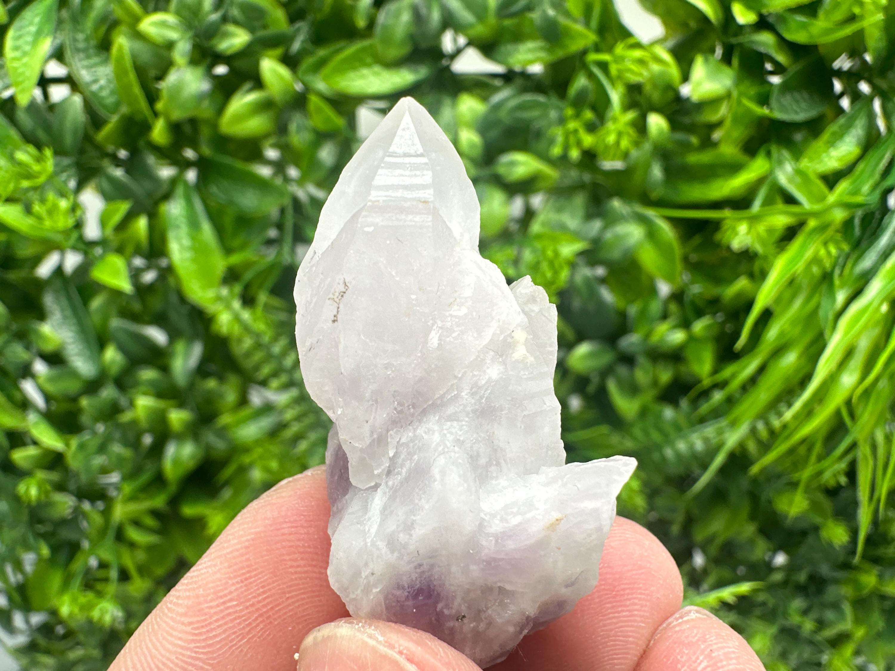Amethyst Phantom Quartz Crystal: Chalcedony Chlorite Inclusions