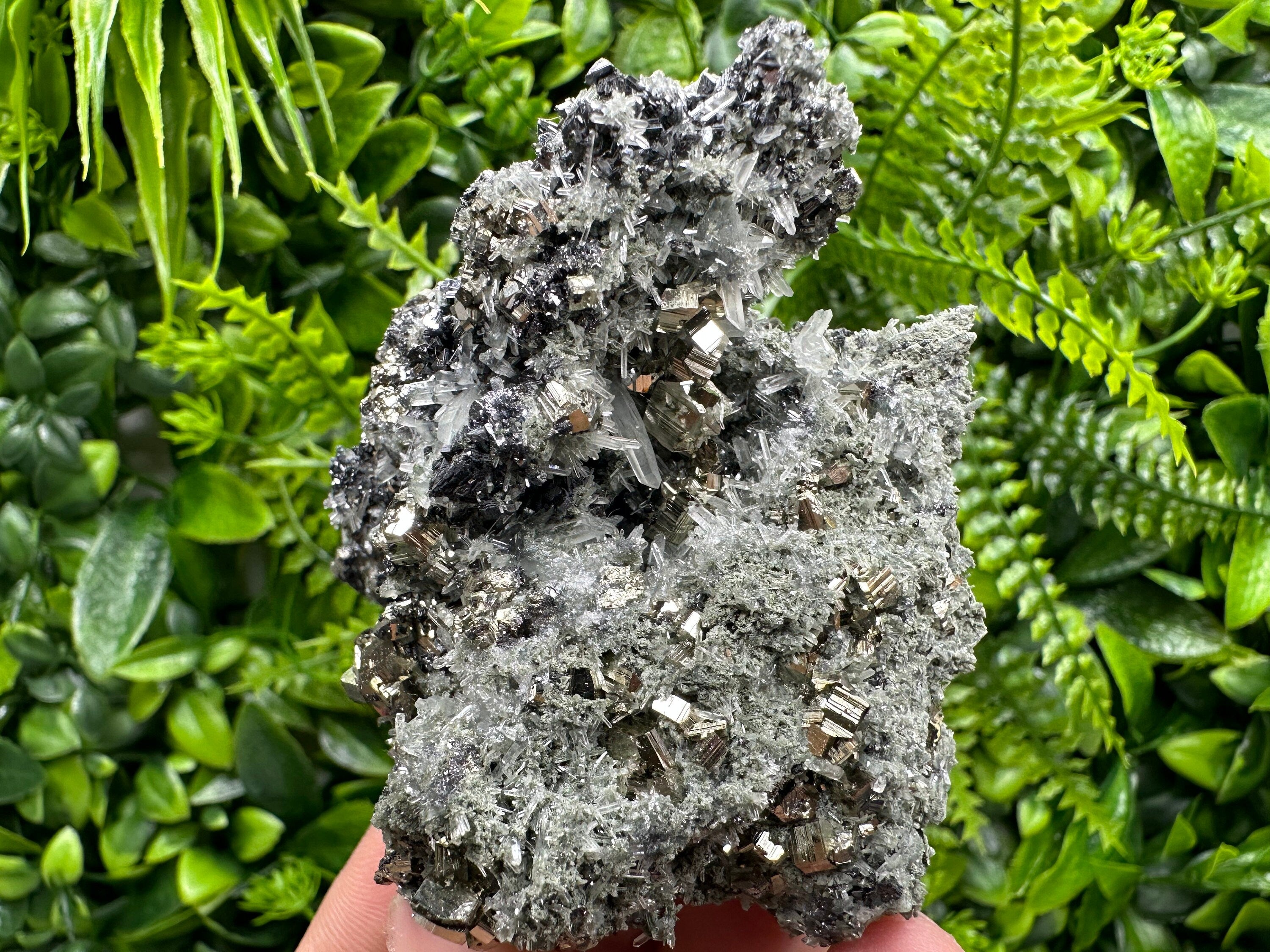Pyrite on Quartz with Chlorite, Natural Crystal Decor, Borieva Bulgaria
