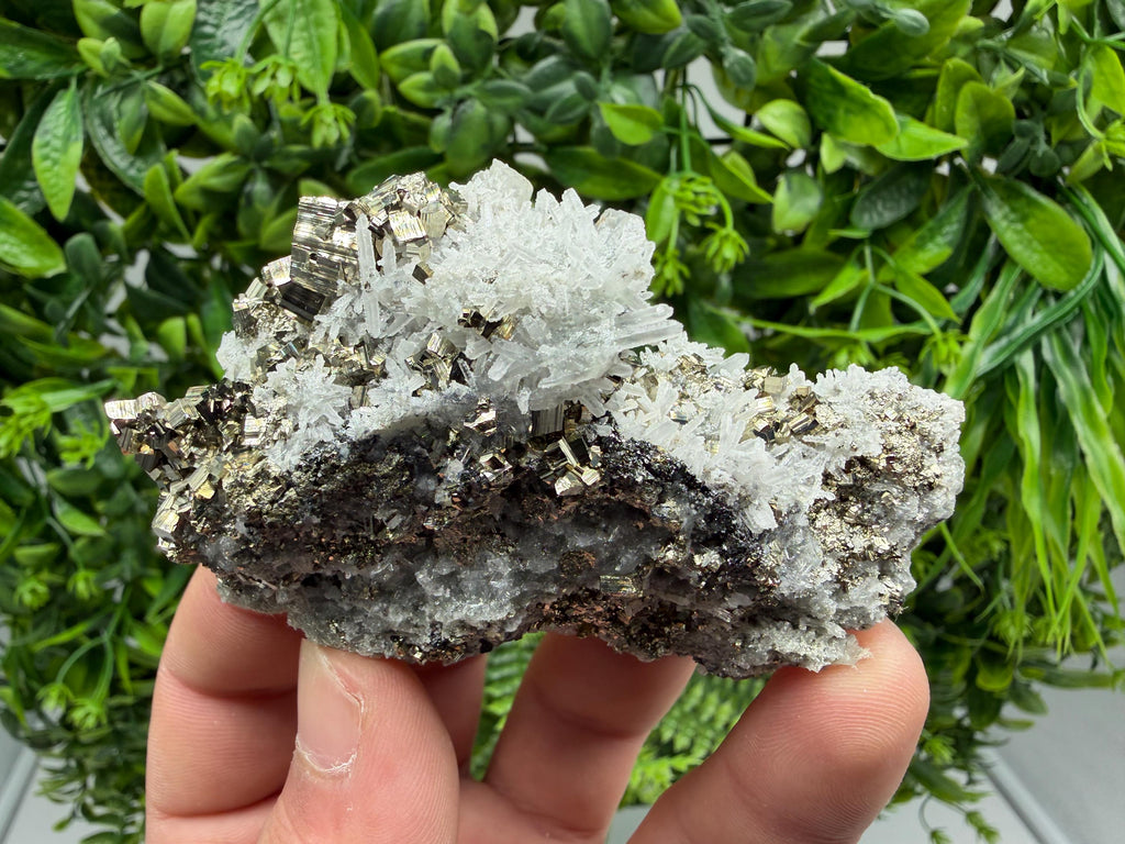 Pyrite Sphalerite Quartz  Mineral Specimen, Krushev dol Mine