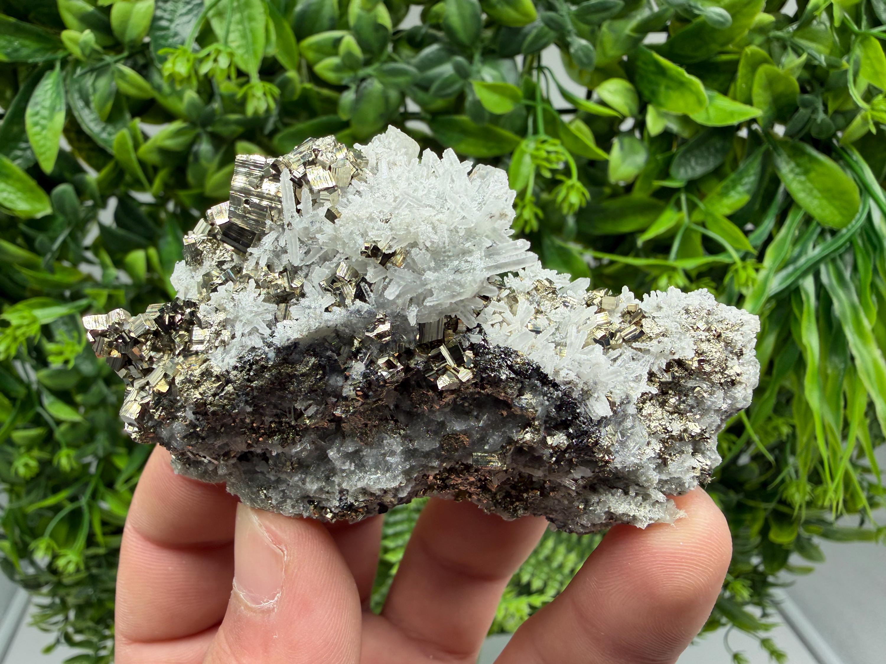 Pyrite Sphalerite Quartz  Mineral Specimen, Krushev dol Mine