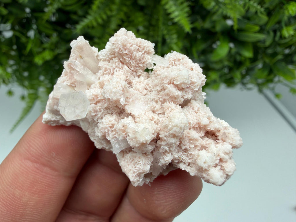 Stunning Quartz whit Chlorite on Rhodochrosite covered whit siderite natural minerals souvenir crystal home decor stone 9th September mine