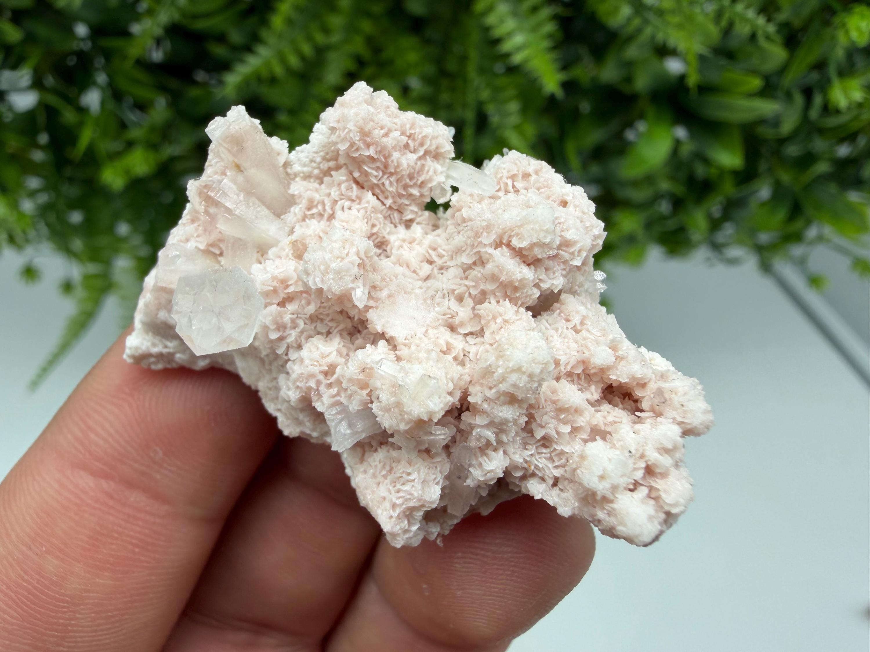 Stunning Quartz whit Chlorite on Rhodochrosite covered whit siderite natural minerals souvenir crystal home decor stone 9th September mine