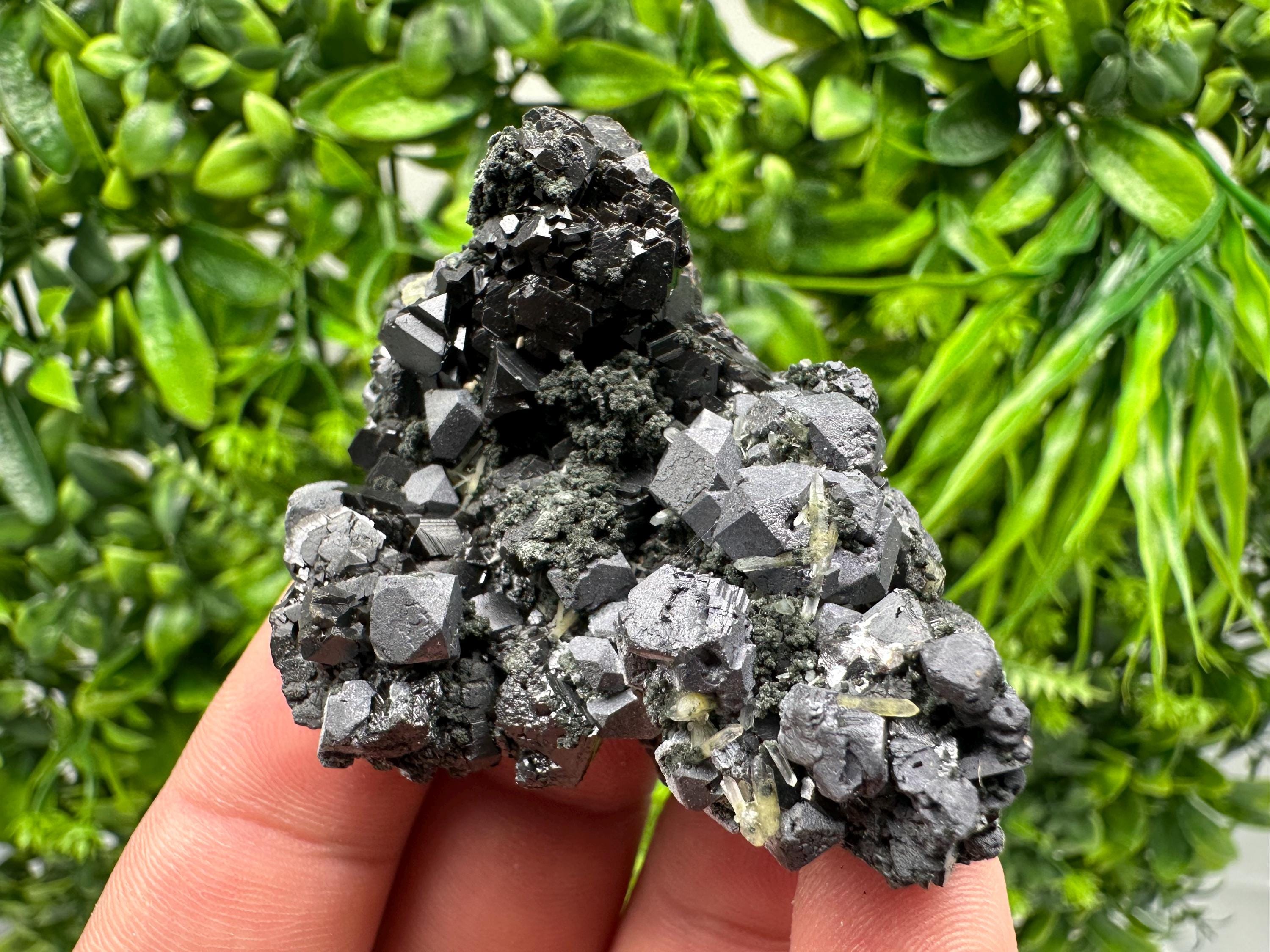 Sphalerite Galena Chlorite Cluster, Borieva Mine, Bulgaria