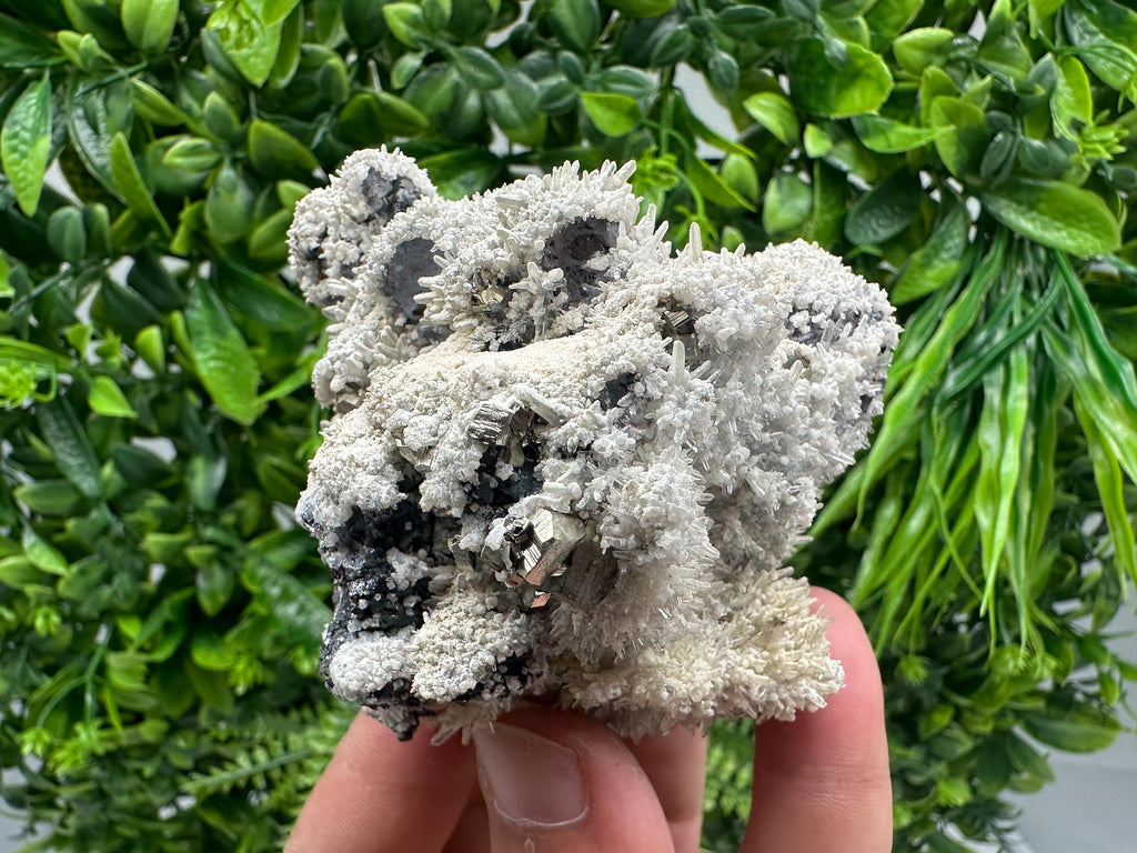 Galena Quartz Pyrite Specimen: Krushev Dol Mine Mineral Decor