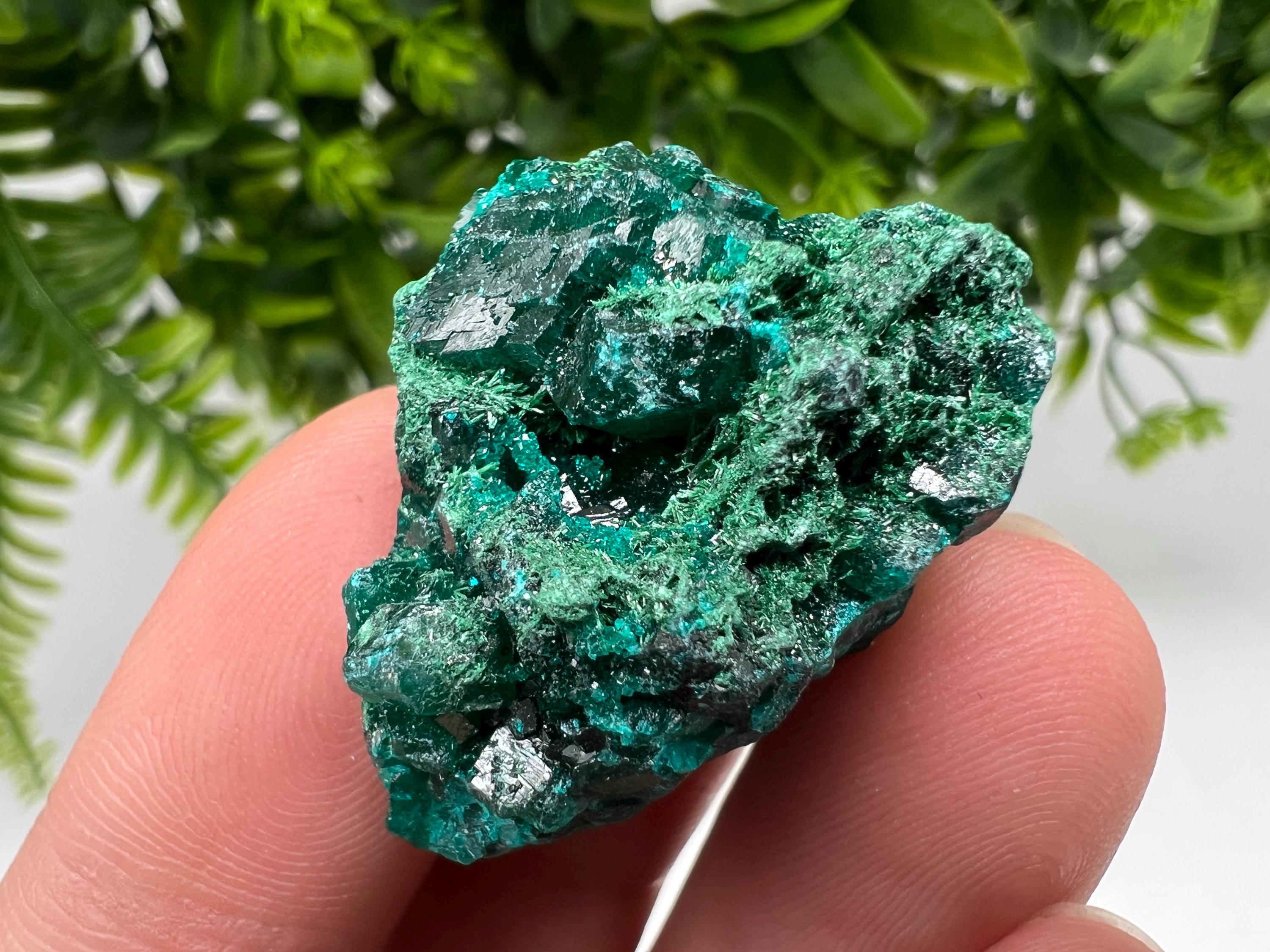 Stunning Green Dioptase from Sanda Hills,Mindouli,Pool Department,Mindouli District,Congo,green Dioptase,Dioptas Crystal,Dioptase collecting