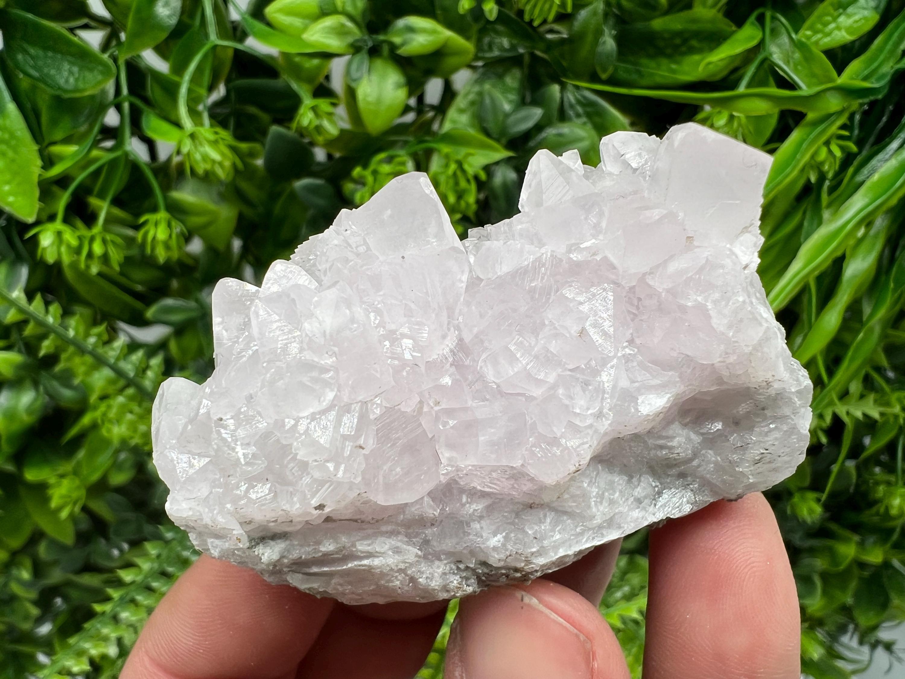 UV Reactive Mangano Calcite Crystal: Androvo Mine, Bulgaria