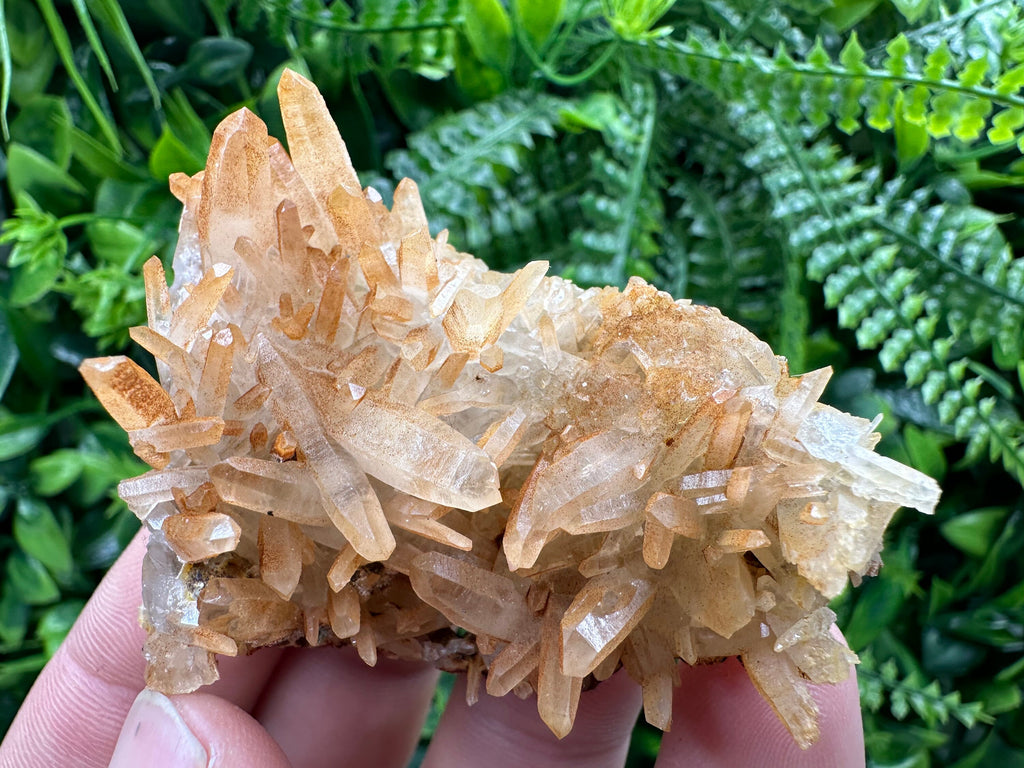 Transparent Quartz Cluster: Natural Mineral Souvenir, Bulgaria