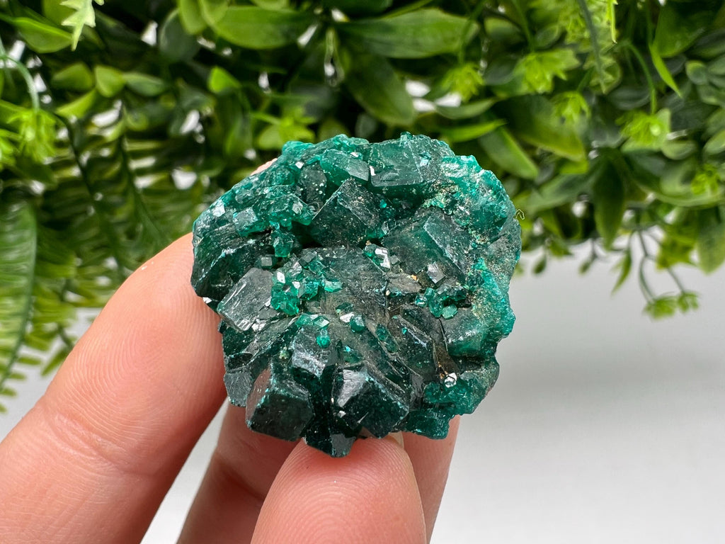Stunning Green Dioptase from Sanda Hills,Mindouli,Pool Department,Mindouli District,Congo,green Dioptase,Dioptas Crystal,Dioptase collecting
