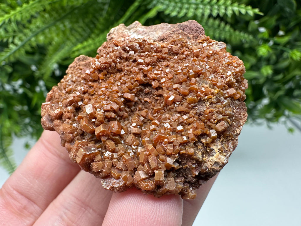 Red Vanadinite on Matrix from Marocco,crystal minerals Speciment cluster Vanadinite crystal Vanadinite Geology Vanadinite cluster minerals