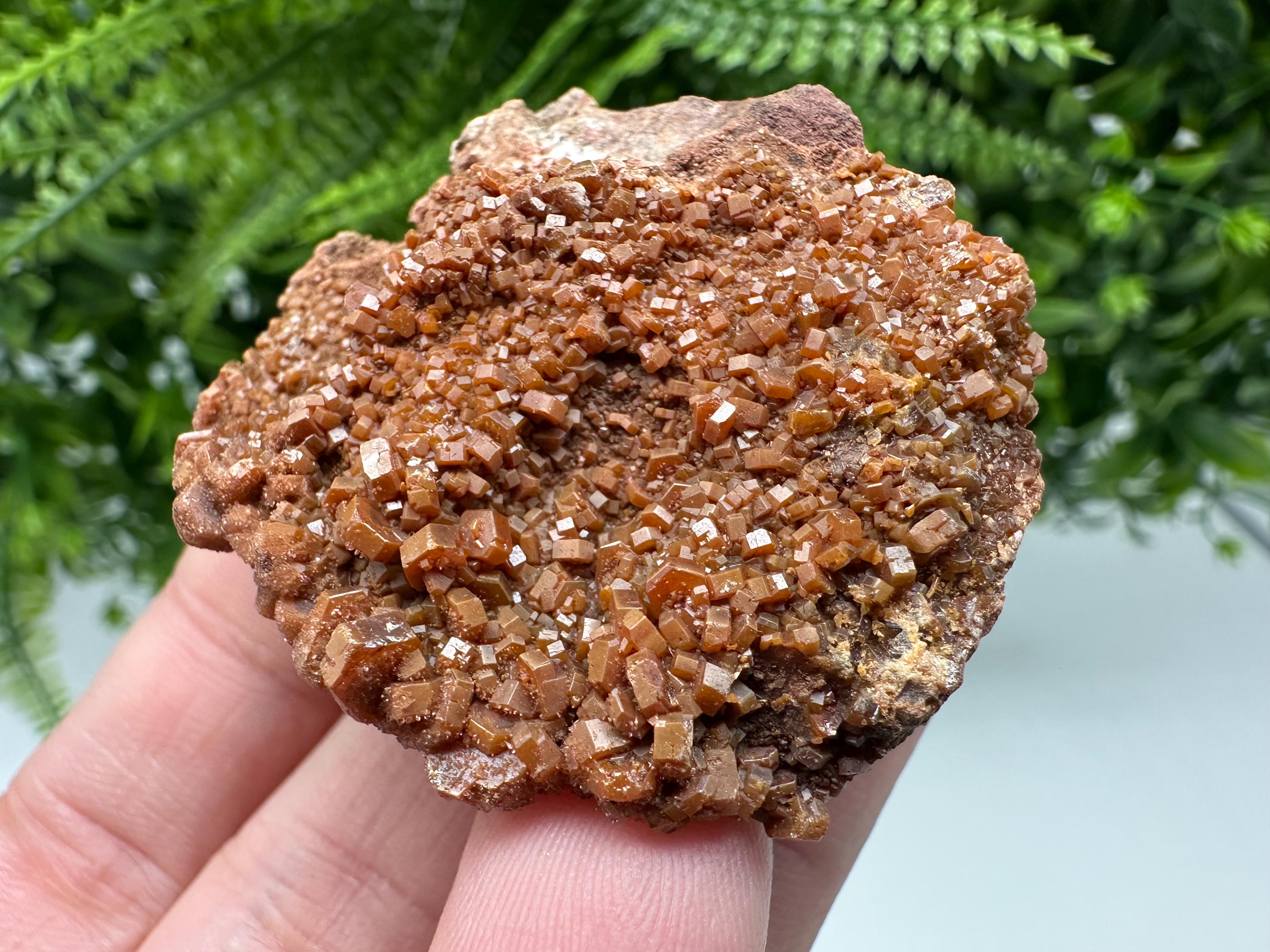 Red Vanadinite on Matrix from Marocco,crystal minerals Speciment cluster Vanadinite crystal Vanadinite Geology Vanadinite cluster minerals