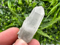 Chlorite Green Quartz Crystal with Sphalerite Inclusions
