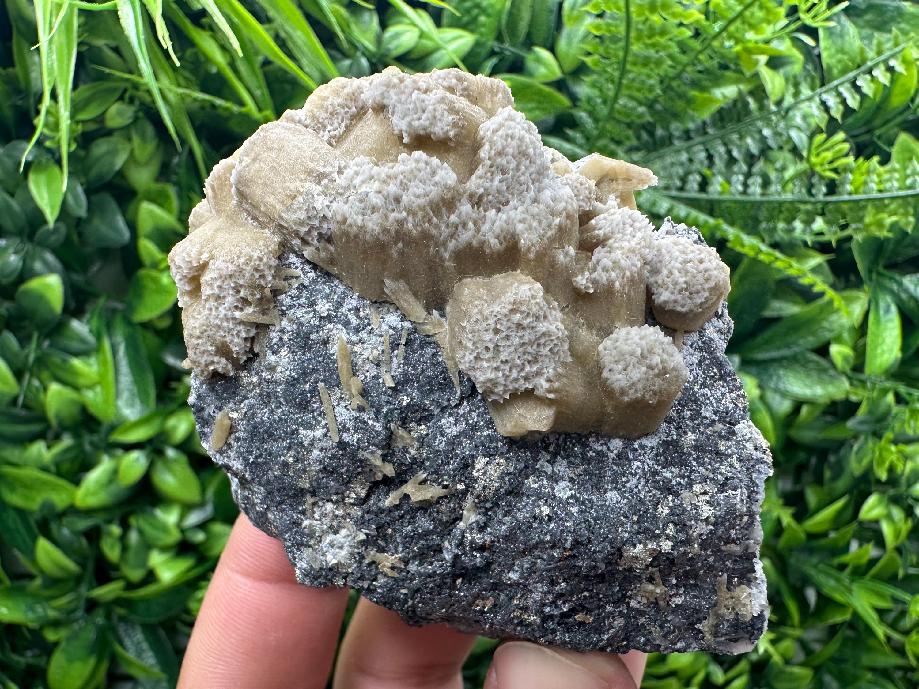 Rare Calcite Cluster on Matrix, Bulgaria Mineral Specimen