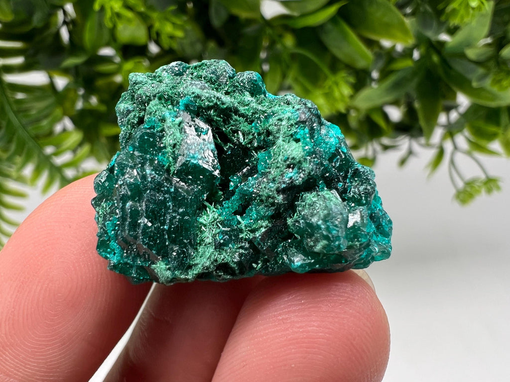Stunning Green Dioptase from Sanda Hills,Mindouli,Pool Department,Mindouli District,Congo,green Dioptase,Dioptas Crystal,Dioptase collecting