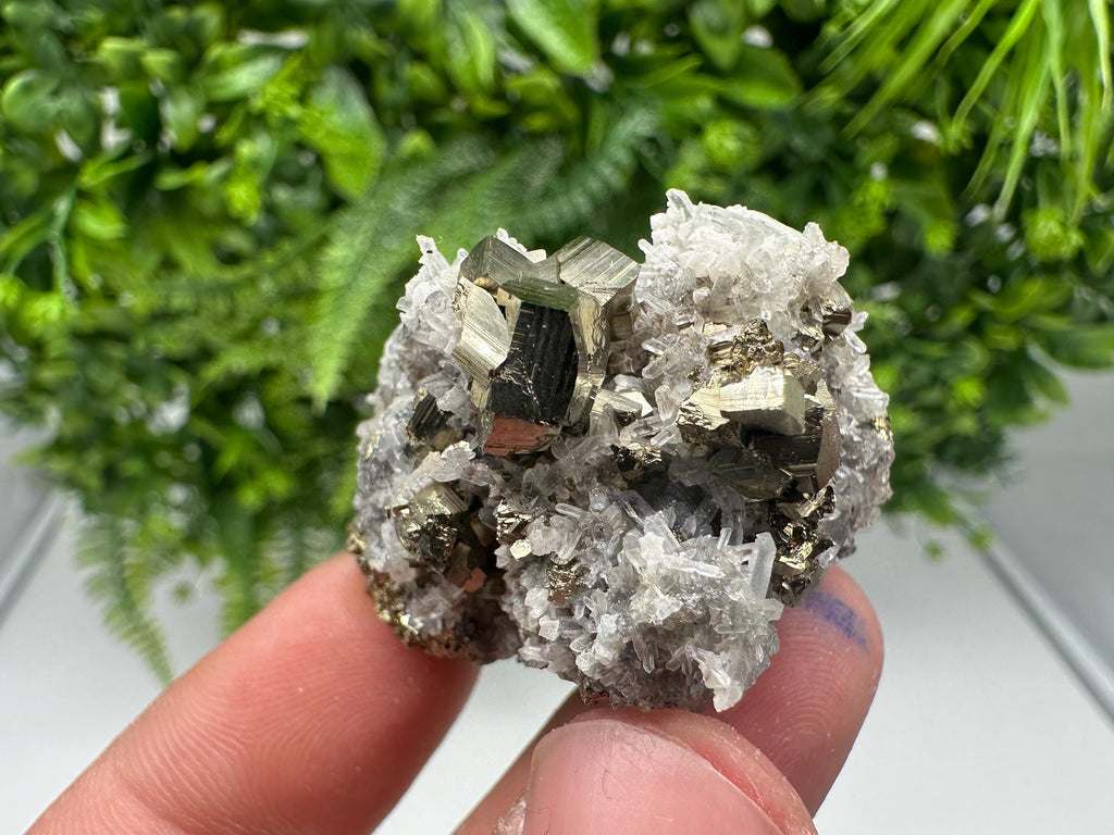 Pyrite on Green Quartz Mineral Specimen, Borieva Mine Bulgaria