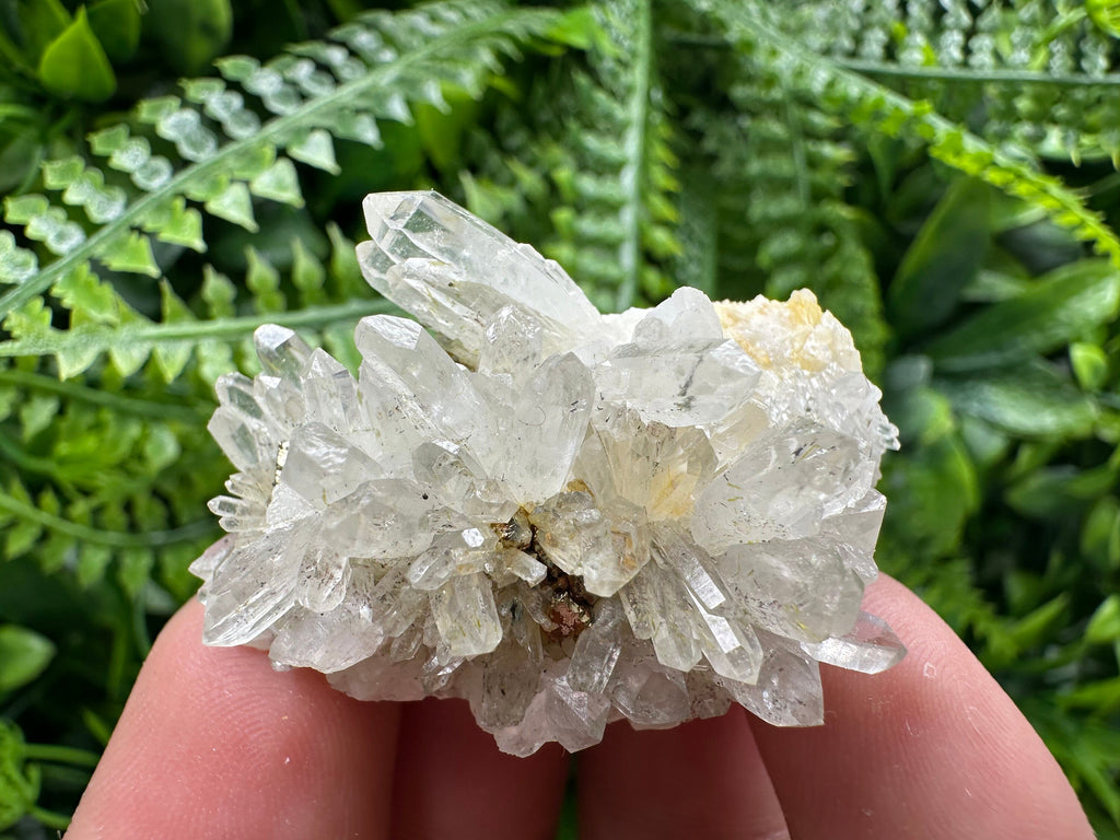 Quartz with Pyrite, Djurcovo Mine Bulgaria, Mineral Souvenir