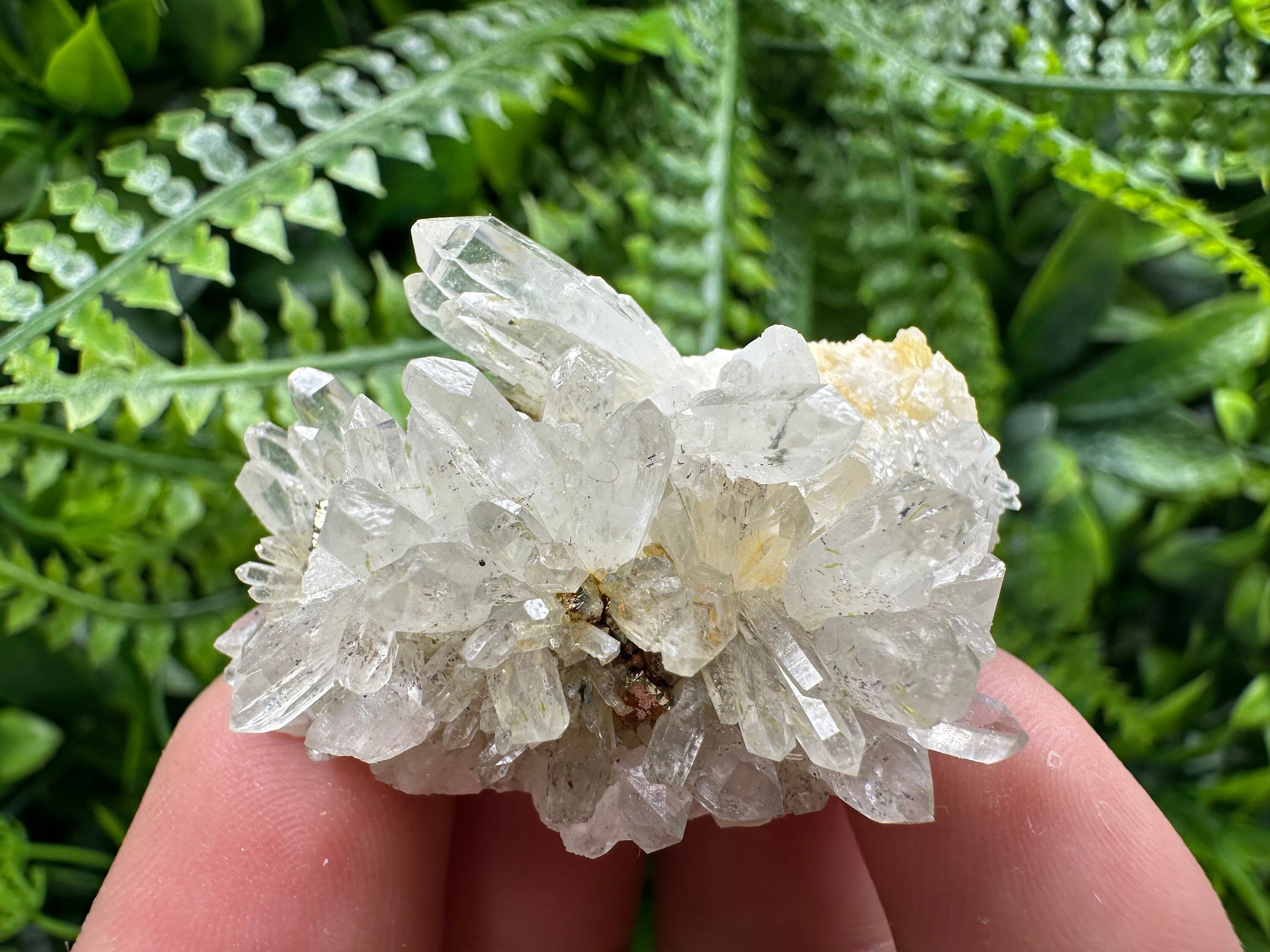 Quartz with Pyrite, Djurcovo Mine Bulgaria, Mineral Souvenir