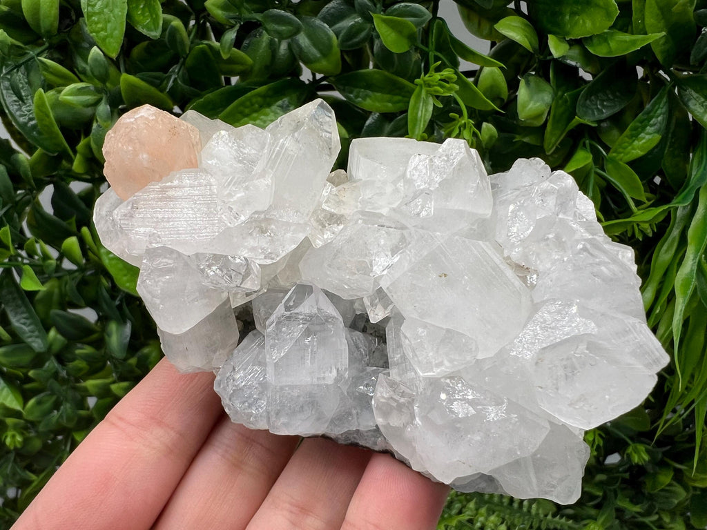 Apophyllite Stilbite on Chalcedony: Natural Mineral Specimen, India