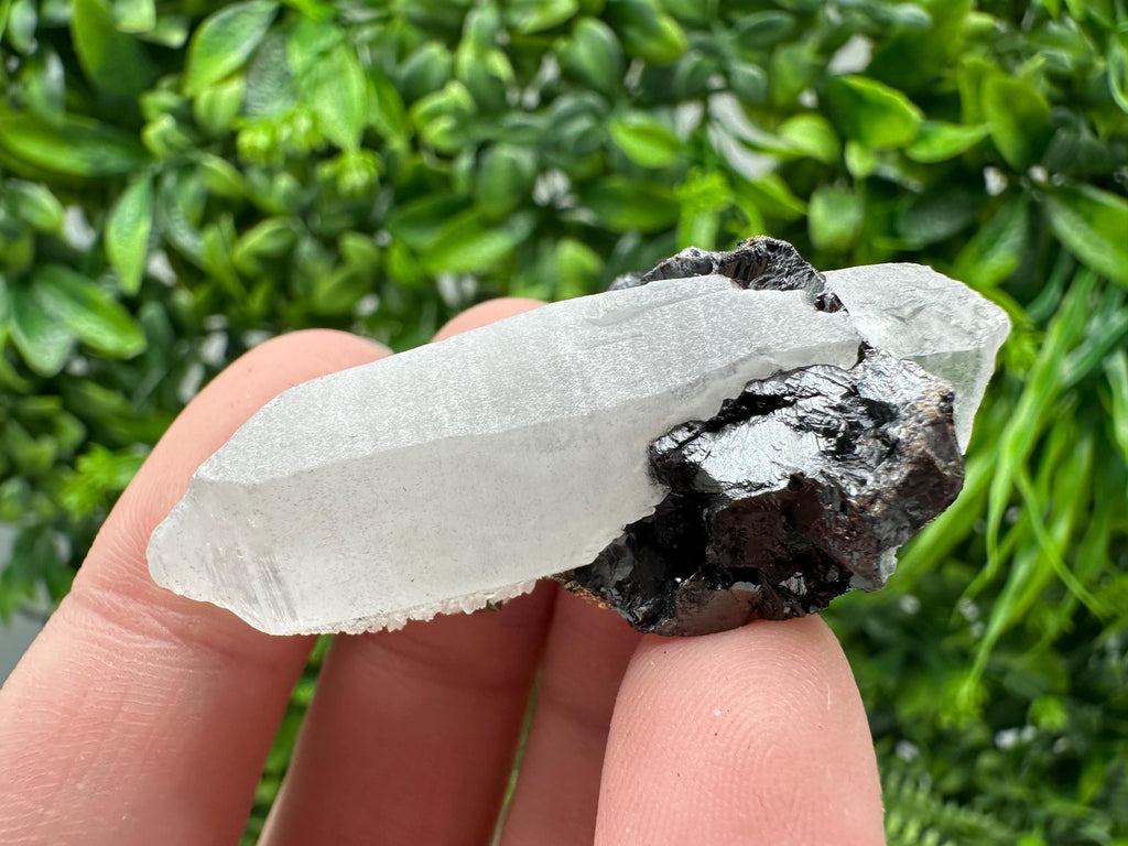 Wonderful Sphalerite Chalcopyrite on  Quartz whit Galena feom 9 th September mine,Bulgaria,natural,collection mineral specimen,gift