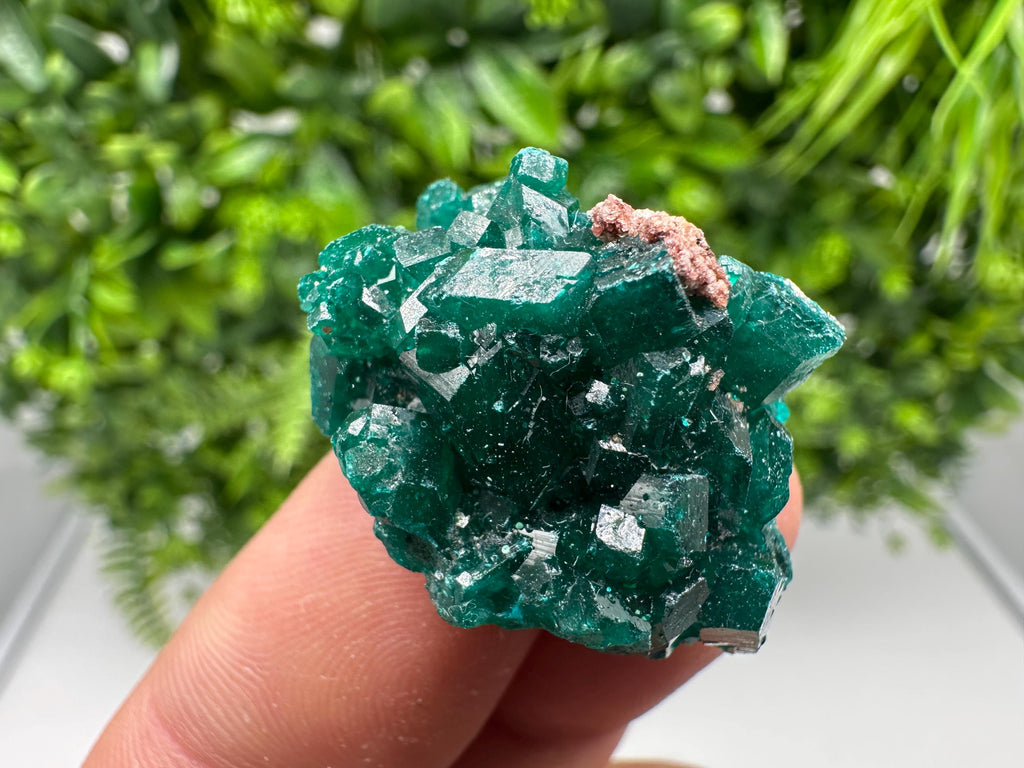 Stunning Green Dioptase from Sanda Hills,Mindouli,Pool Department,Mindouli District,Congo,green Dioptase,Dioptas Crystal,Dioptase collecting