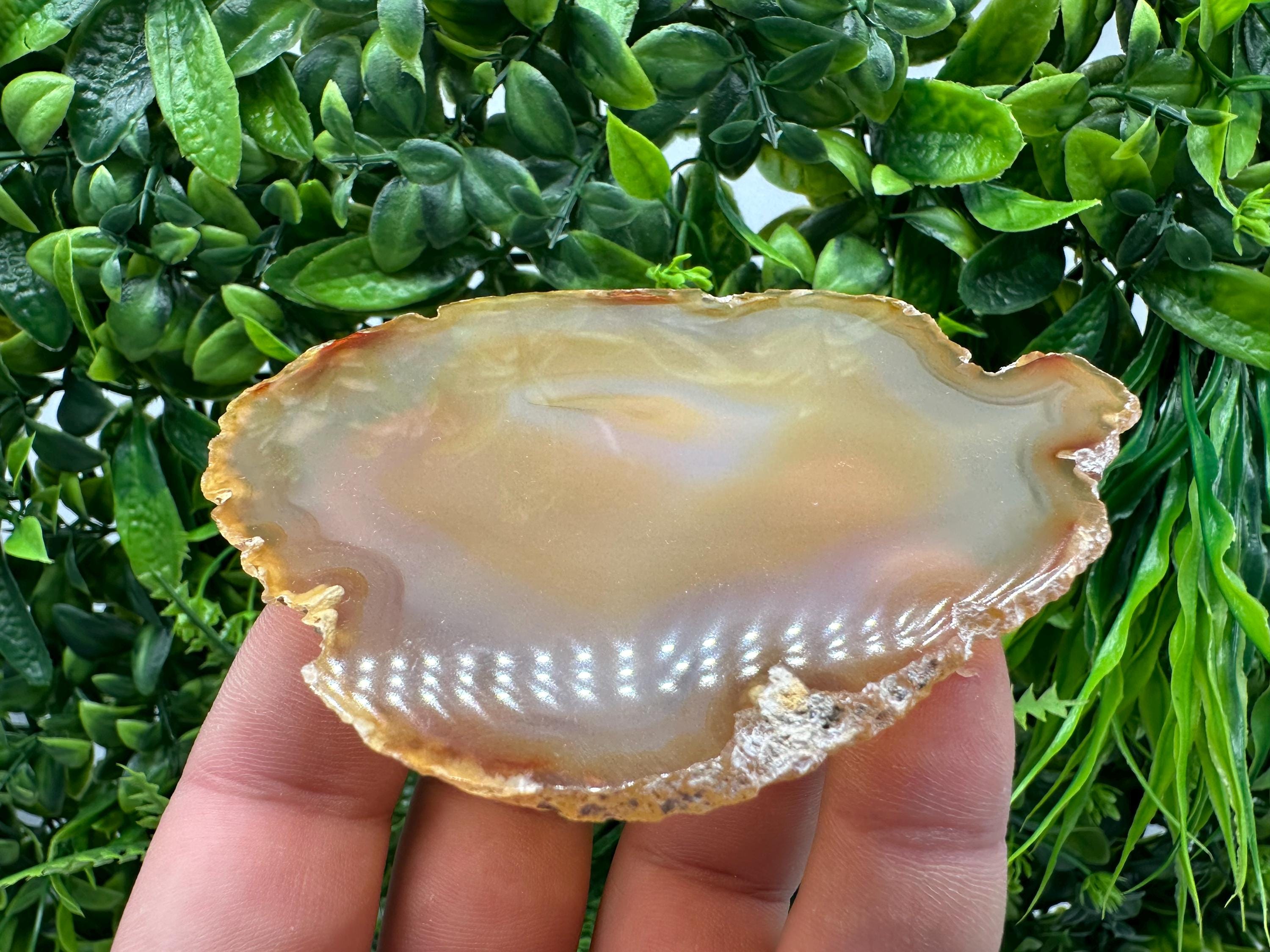 Polished Agate Slice: Spiritual Healing Crystal Coaster (10/9cm)