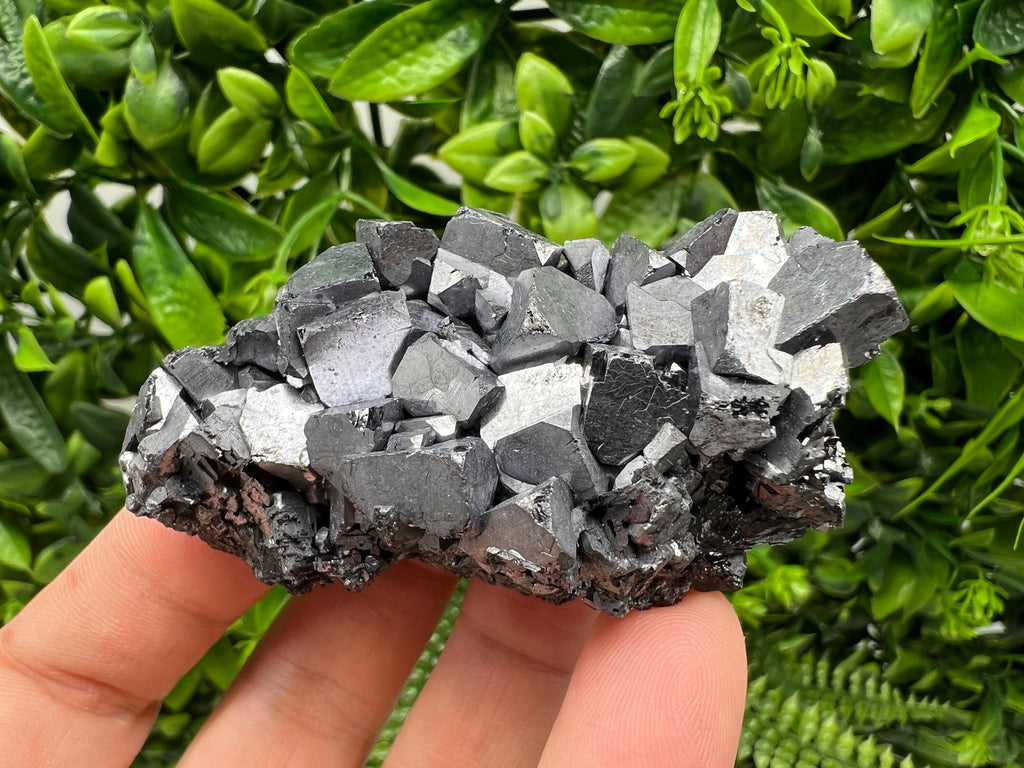 Galena with Sphalerite Mineral Specimen, Borieva Mine, Bulgaria