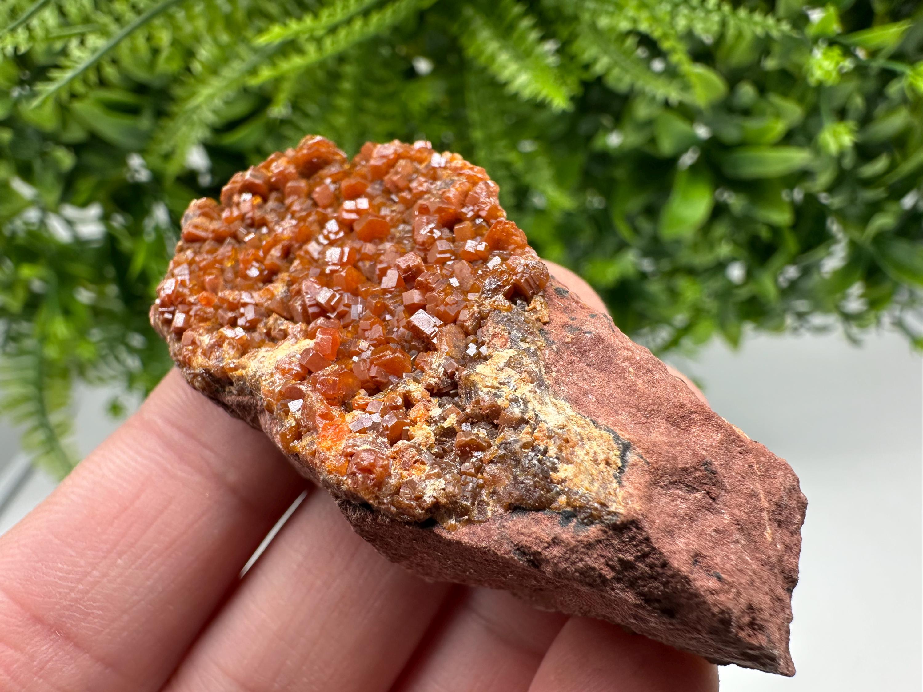 Red Vanadinite on Matrix from Marocco,crystal minerals Speciment cluster Vanadinite crystal Vanadinite Geology Vanadinite cluster minerals