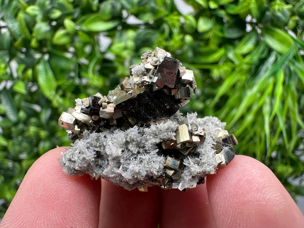 Pyrite on Green Quartz, Borieva Mine Mineral Specimen, Home Decor Stone