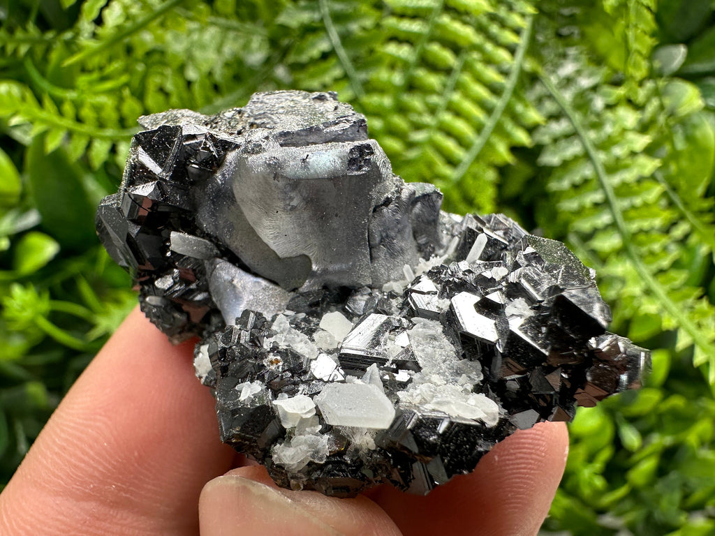 Mirror Galena on Sphalerite with Quartz, Borieva Mine Mineral Specimen