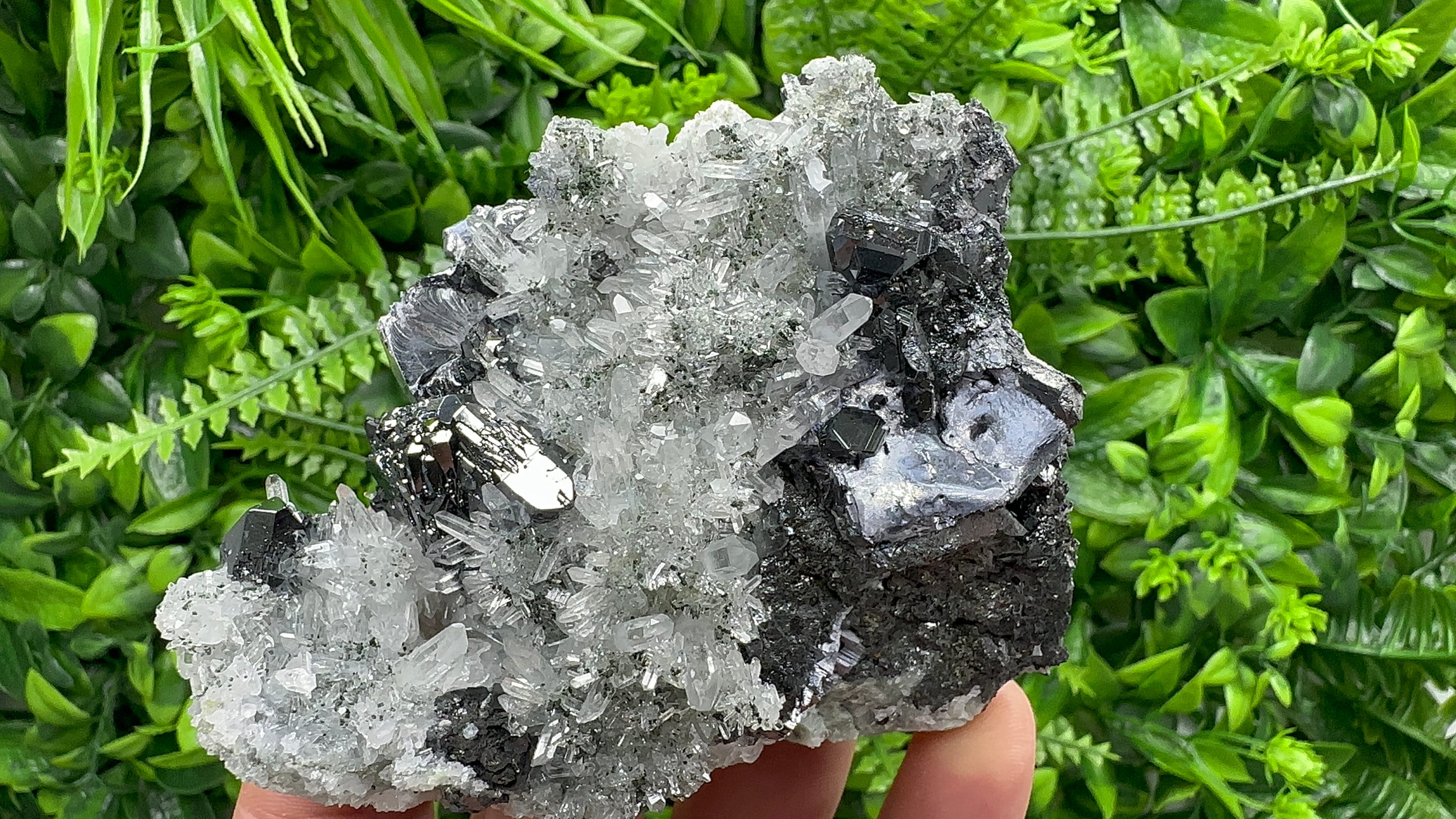 Sphalerite, Mirror Galena on Quartz, Bulgaria Minerals, Crystal Decor (9/7/7 cm)