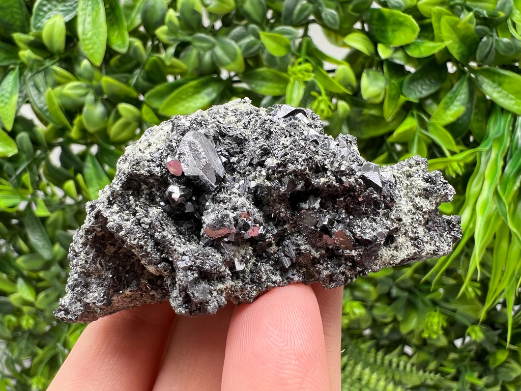 Sphalerite Galena with Chlorite, Borieva Mine Madan Bulgaria