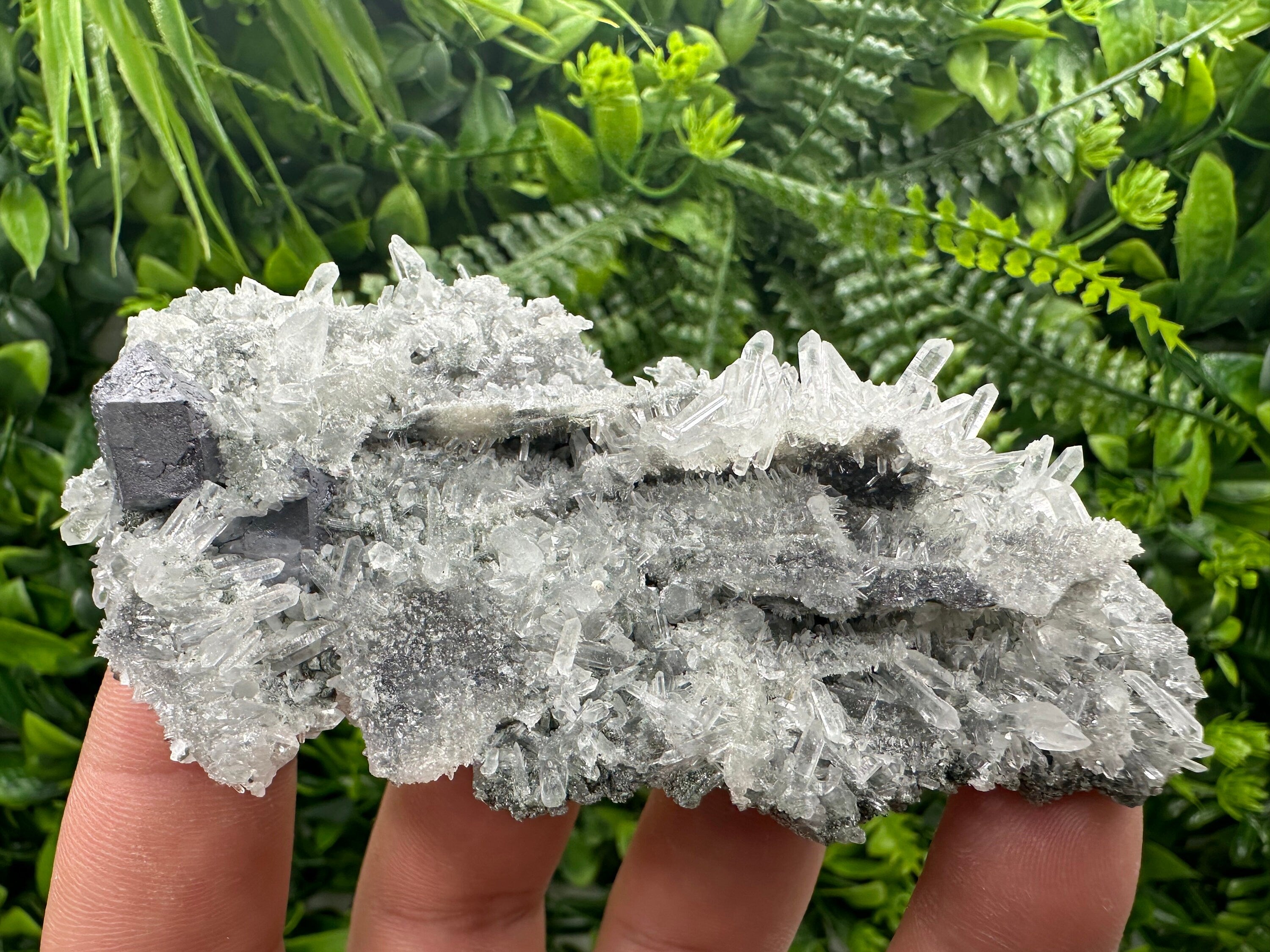 Galena on Green Quartz, Borieva Mine, Mineral Specimen