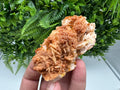 Red Vanadinite on Barite from Marocco,crystal minerals Speciment cluster Vanadinite crystal Vanadinite Geology Vanadinite cluster minerals