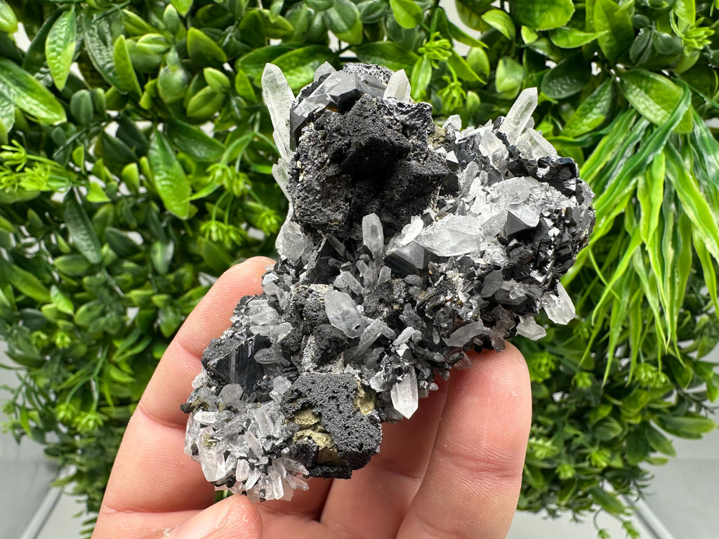 Wonderful Sphalerite Chalcopyrite on  Quartz whit Galena feom 9 th September mine,Bulgaria,natural,collection mineral specimen,gift