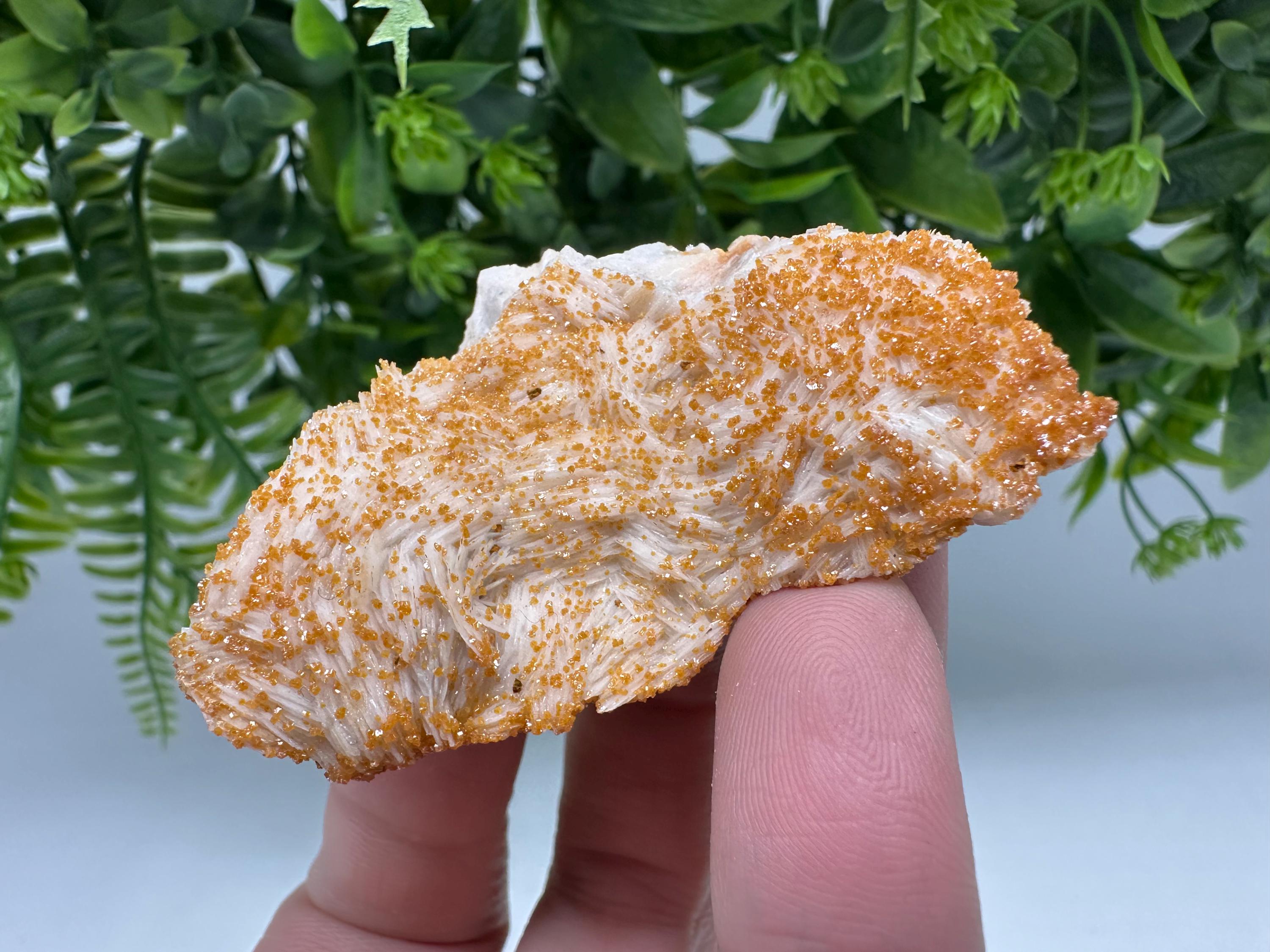 Red Vanadinite on Barite Crystal Specimen from Morocco, Mineral Cluster