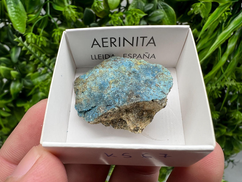 Rare Raw Aerinite Crystal, Mineral Specimen from Lleida, Spain