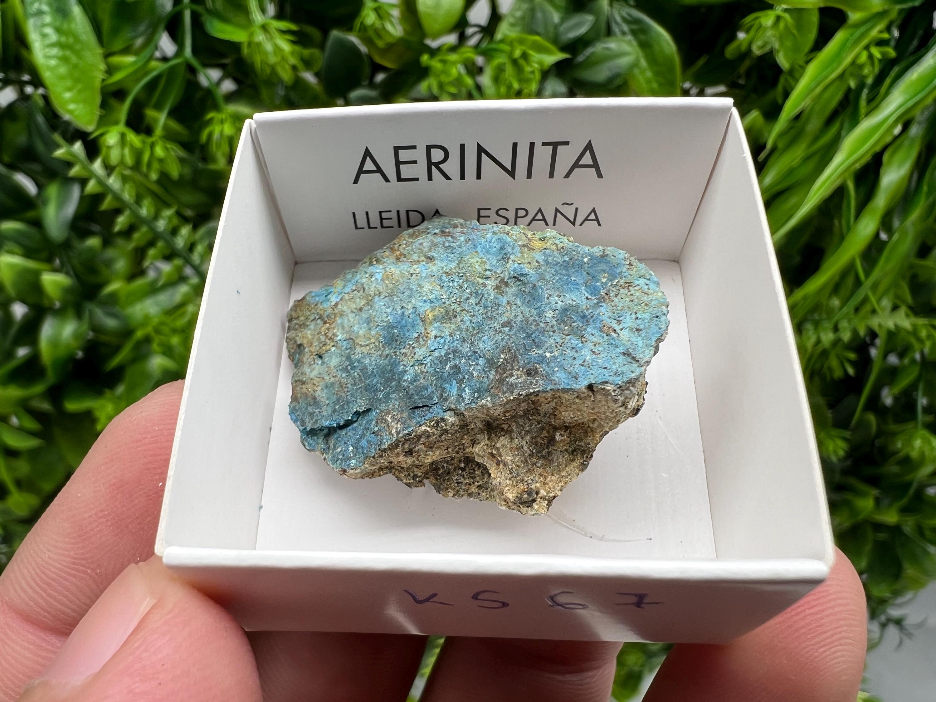 Rare Raw Aerinite Crystal, Mineral Specimen from Lleida, Spain