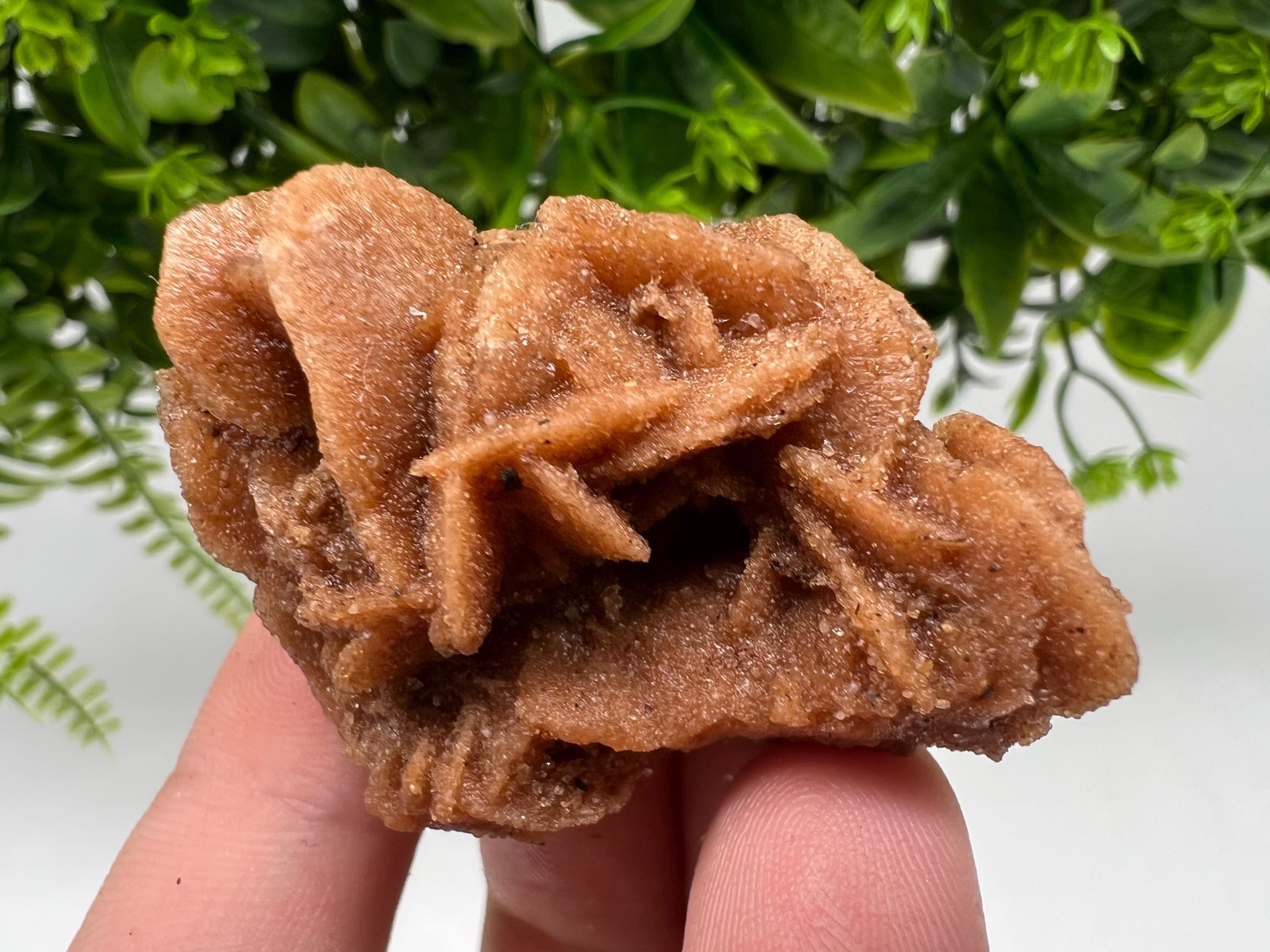 Desert Rose Crystal: Root Chakra Healing Selenite Stone