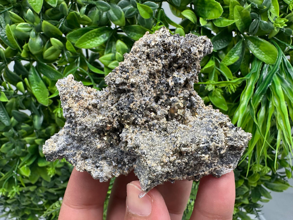 Pyrite Galena on Green Quartz: Chlorite Mineral Specimen, Bulgaria