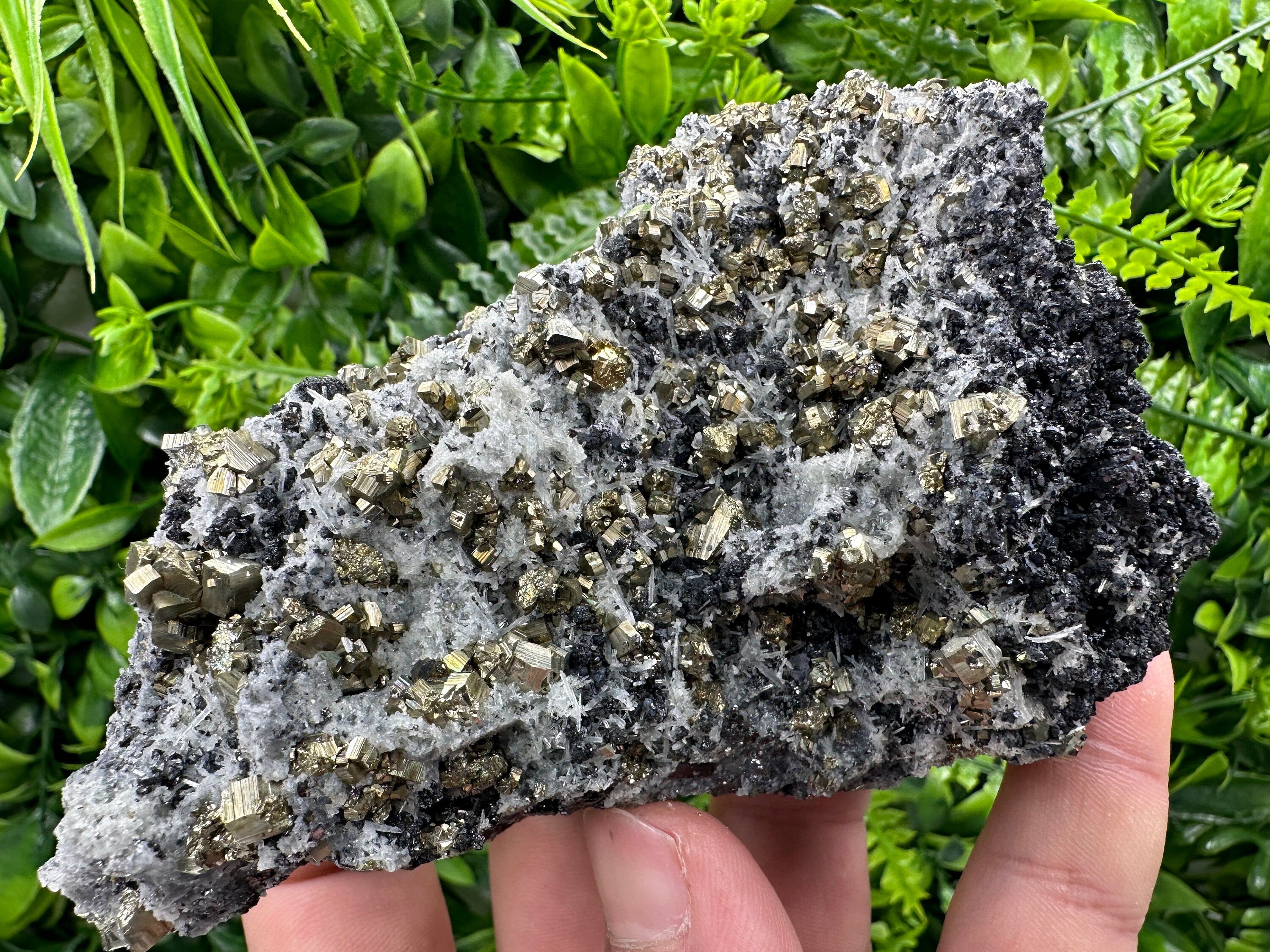 Pyrite Quartz Sphalerite Crystal Cluster, Borieva Mine Bulgaria