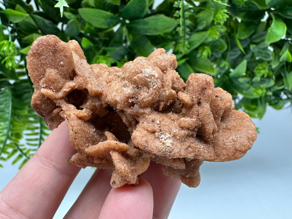 Natural Desert Rose Crystal - Root Chakra Healing Selenite Stone